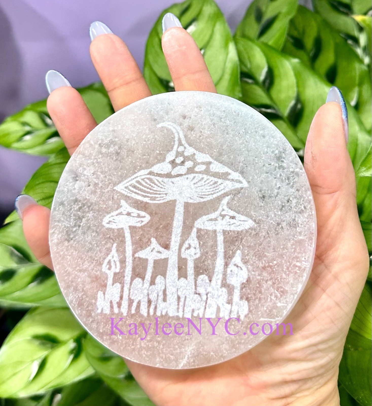Wholesale Lot 6 PCs Natural Selenite Aka Satin Spar Mushroom charging Plate 10cm
