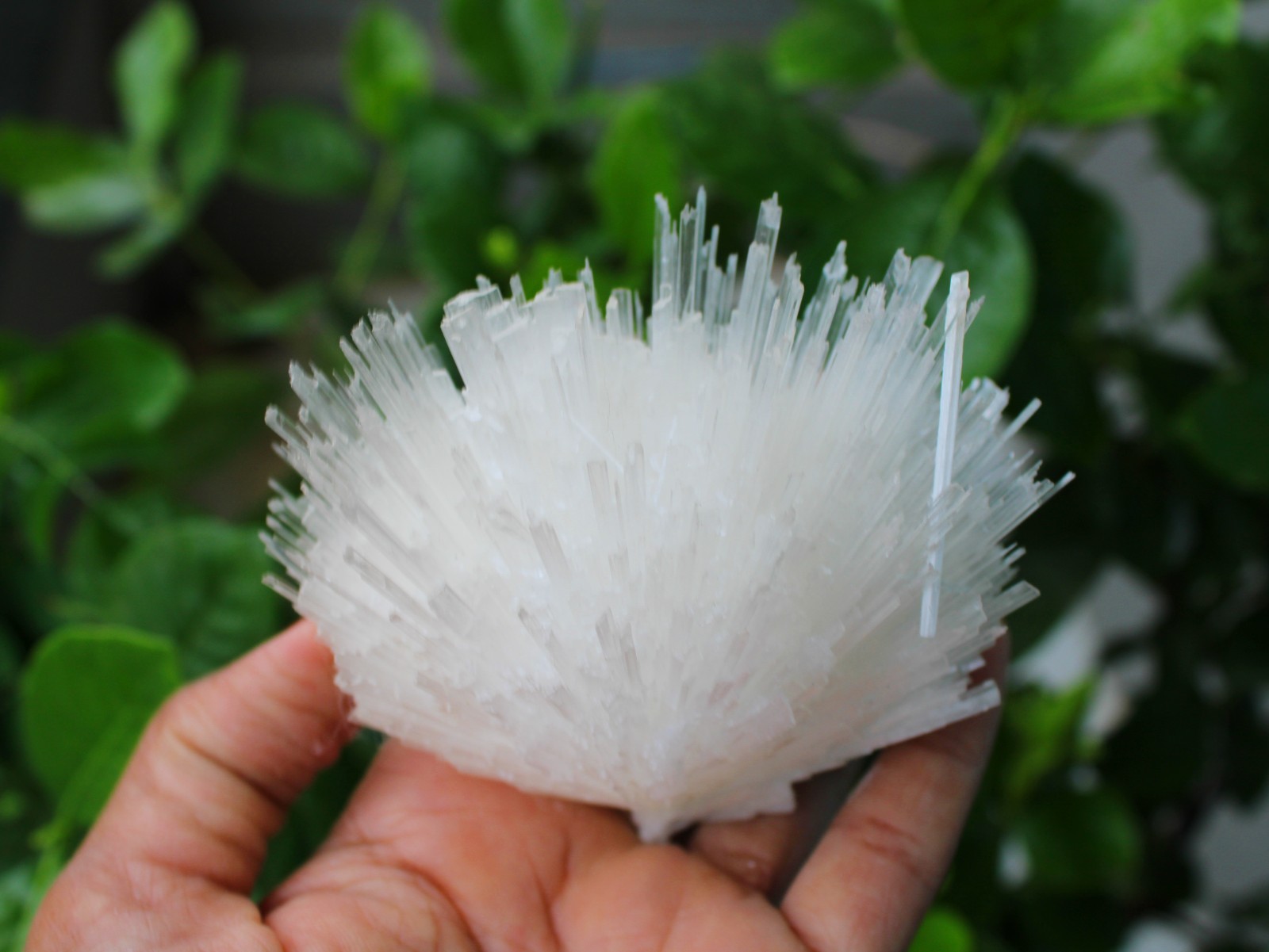 SCOLECITE FORMATION MINERALS SPECIMEN