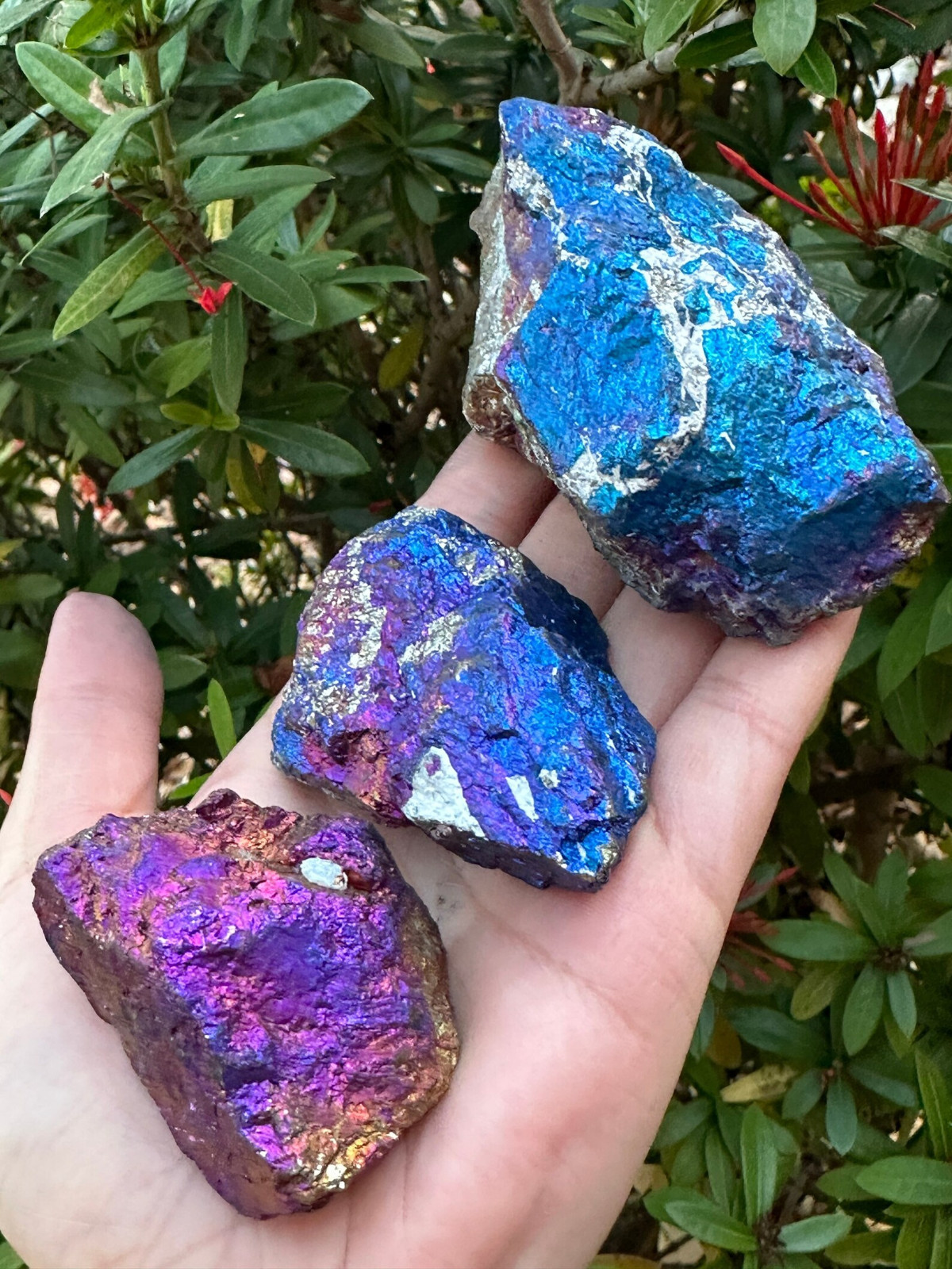 Grade A++ Chalcopyrite Natural Stone, Raw Peacock Ore Stone, Wholesale Bulk Lot