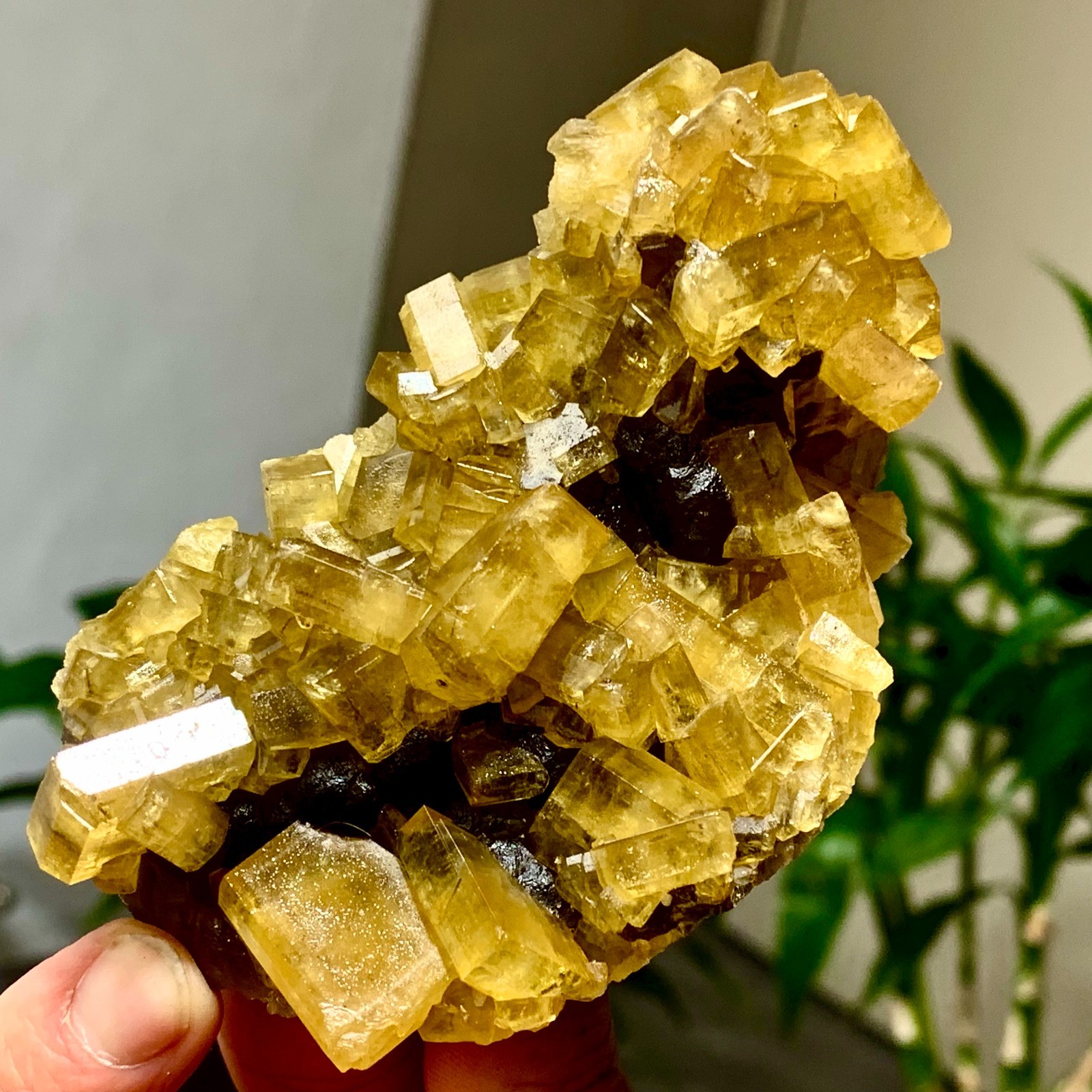 300G Shiny Golden Cuboid Barite Crystal Based on the Purple Spherical Fluorite