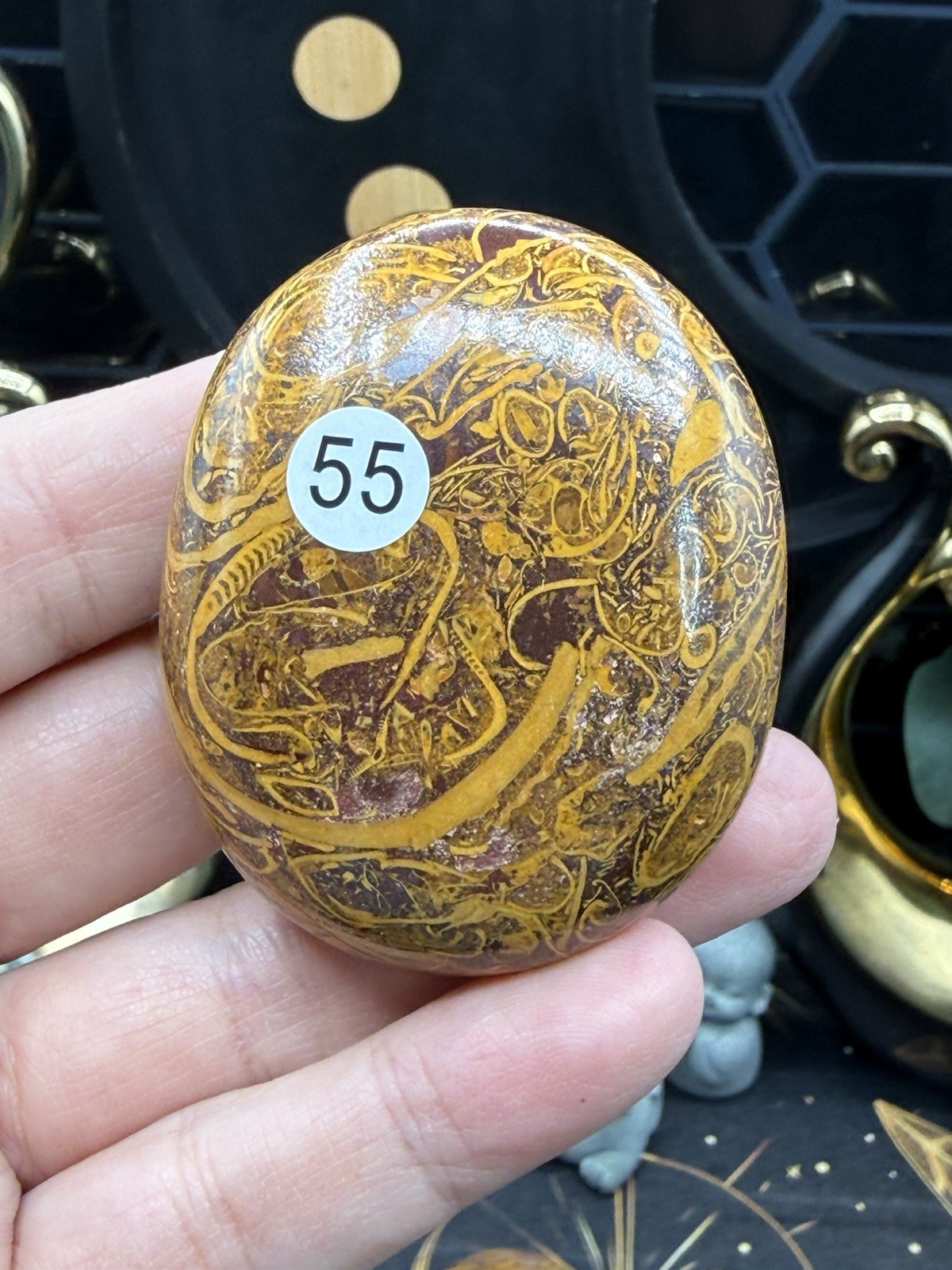 Natural Lg Calligraphy Stone Miriam fossilized shells, hematite, iron Free ship