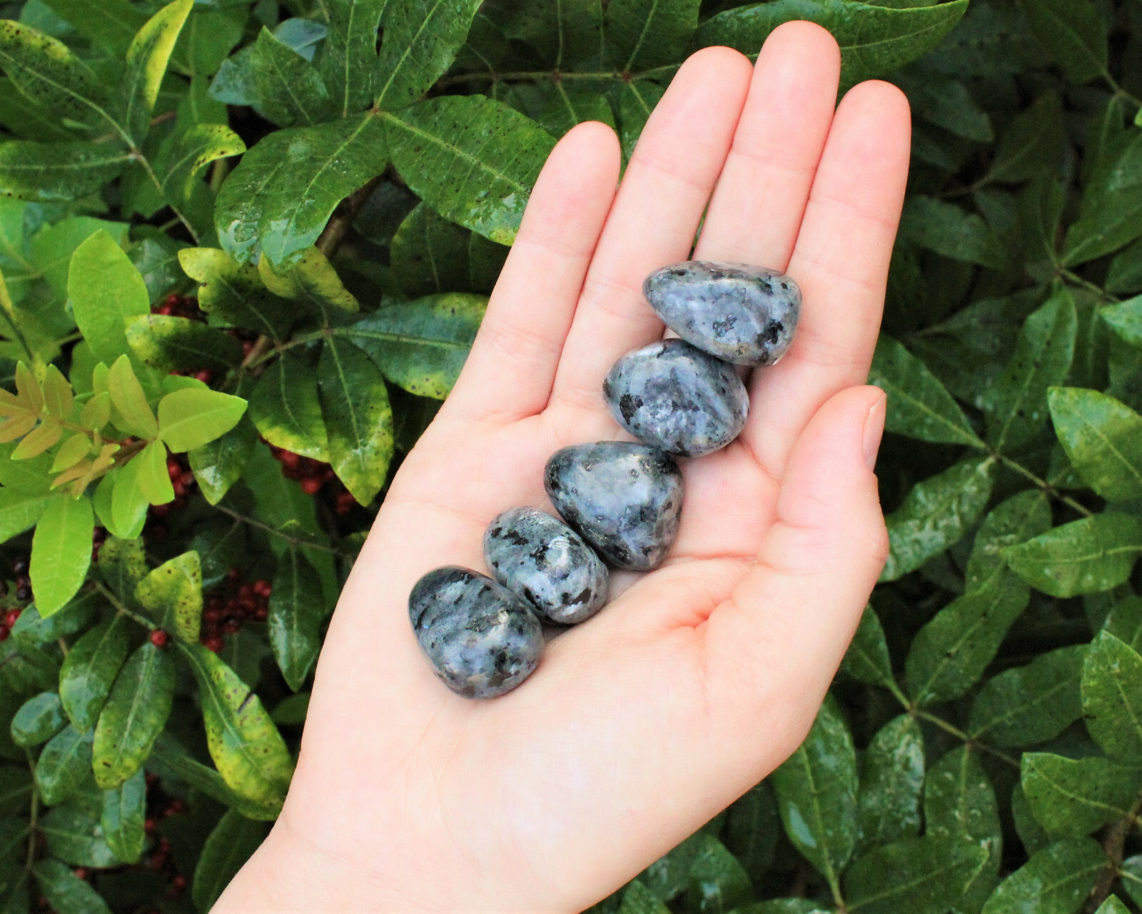 4 oz Larvikite Tumbled Stones: ‘A’ Grade Natural Polished Crystals 1/4 lb Bulk