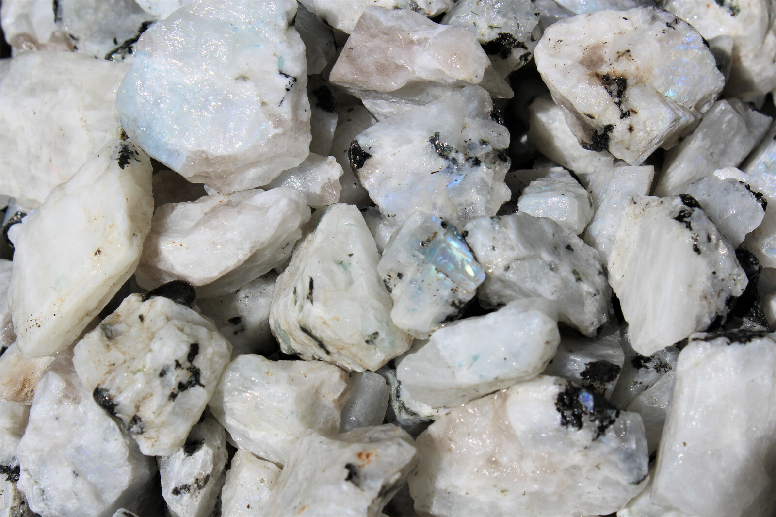 500 Carat Lot Natural Rough Rainbow Moonstone Crystals (Raw Stone, 100 Grams)