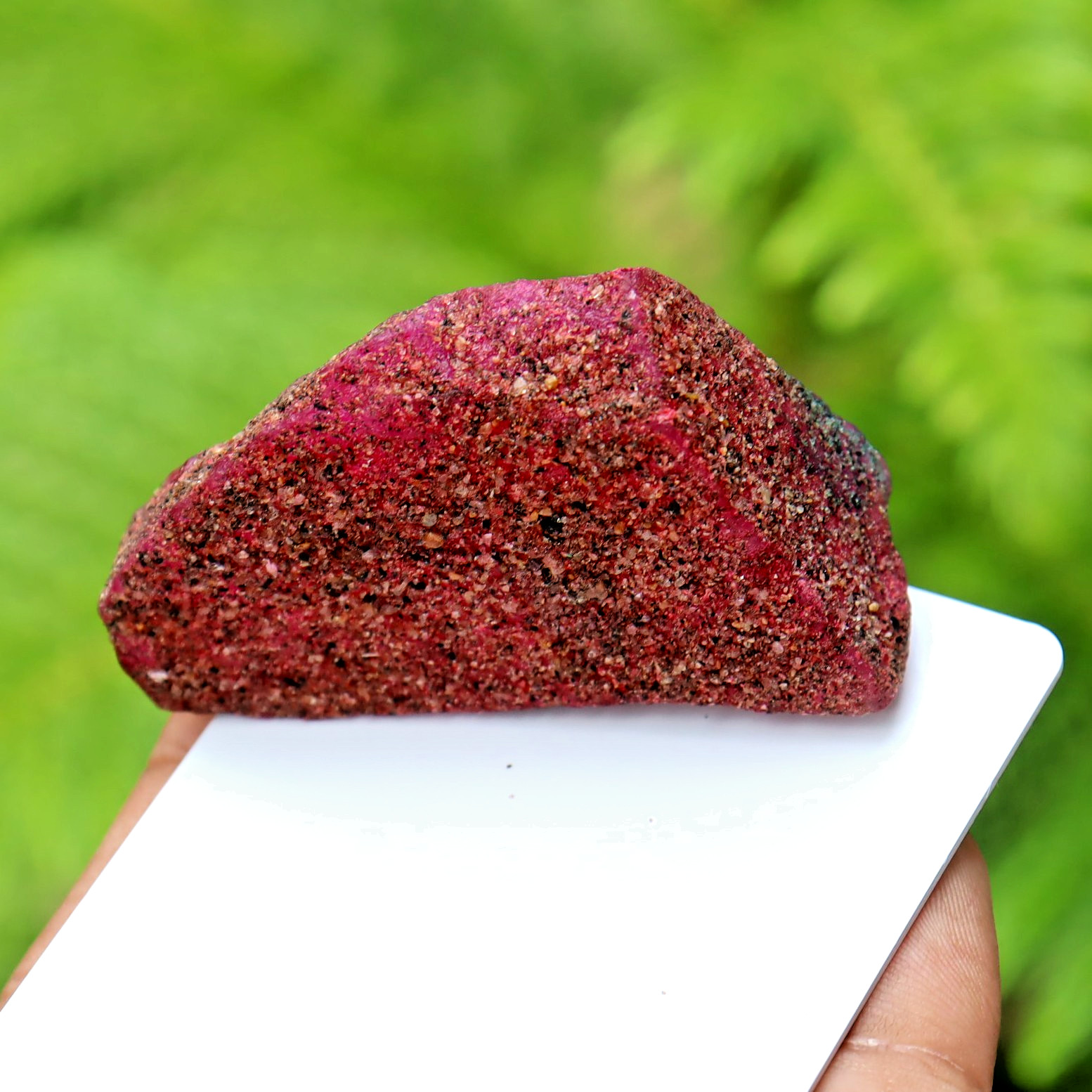 Natural Red Ruby Rough Uncut 218 Ct Certified Loose Gemstone From BURMA