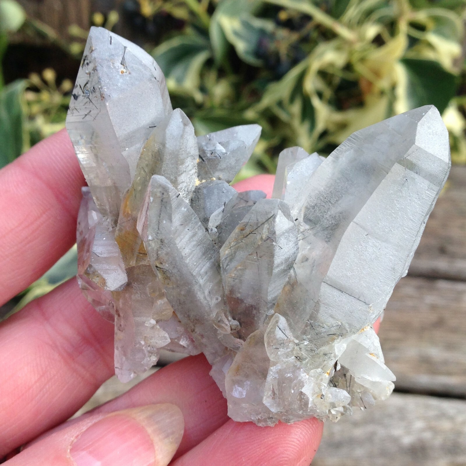 Quartz with Chlorite Crystal Cluster Connect to Nature Animals 66g 6×4.4×4.9cm