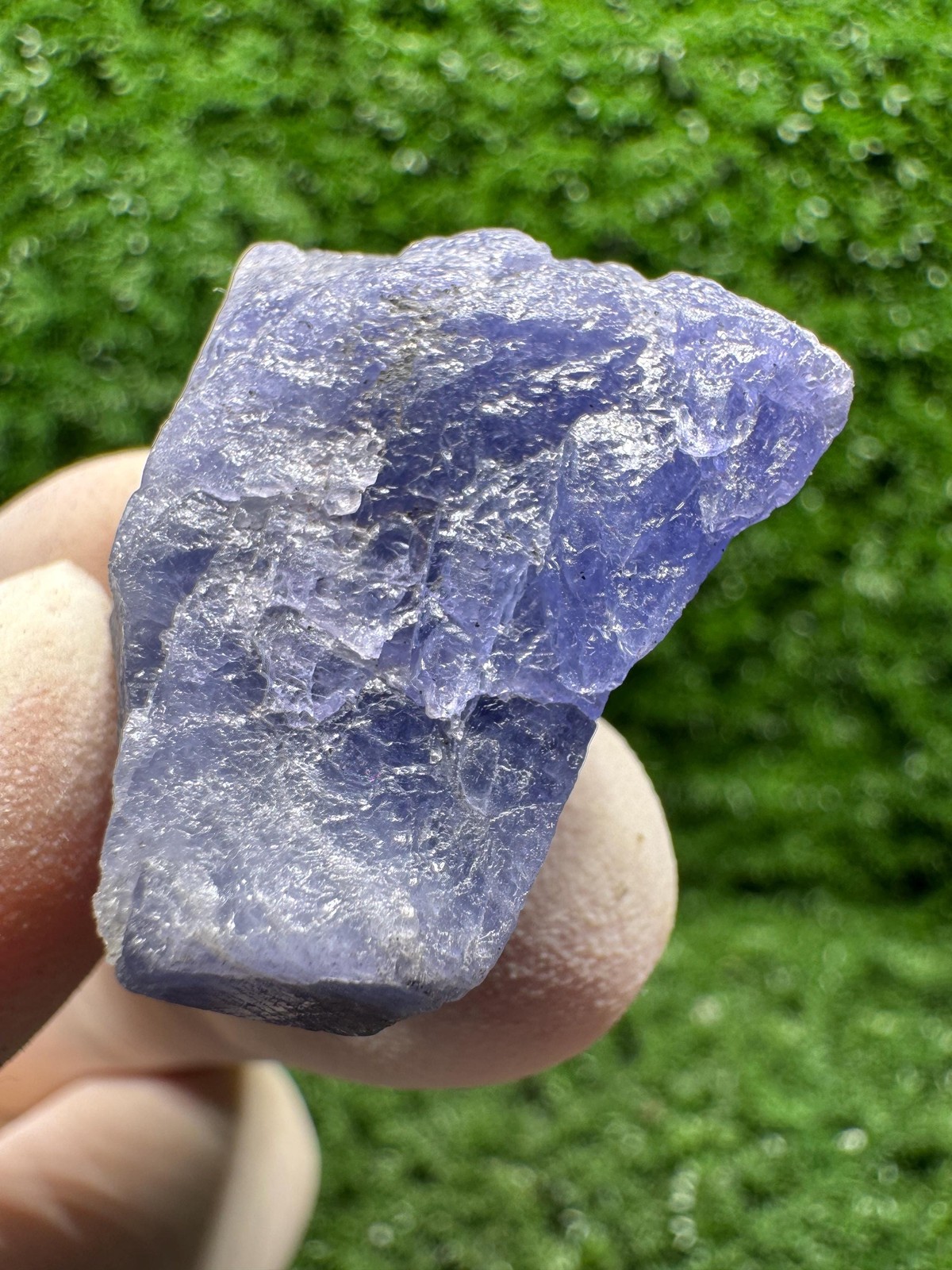 TANZANITE Crystal with COLOR CHANGE under yellow/white light / F514