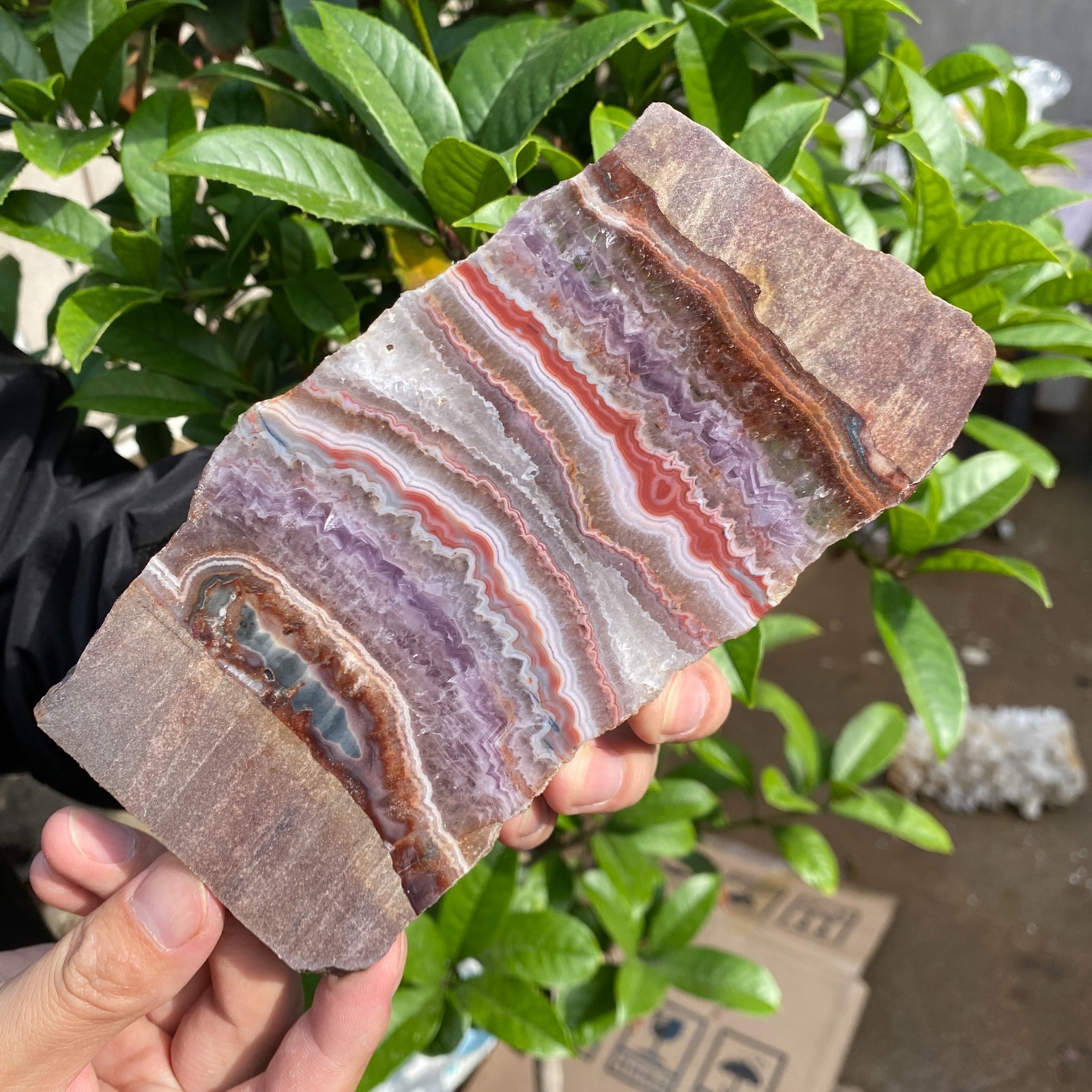 290g Natural Rare Amethyst Lace Agate Slab Quartz Crystal Reiki Healing