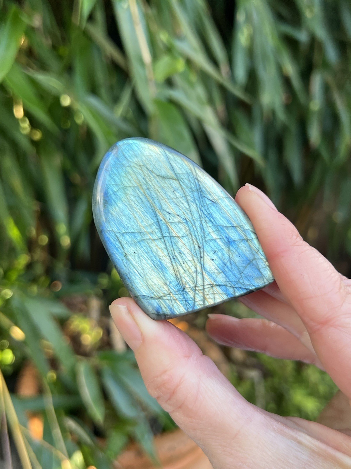 Deep Blue Labradorite Freeform Iridescent Crystal AAA+ 22