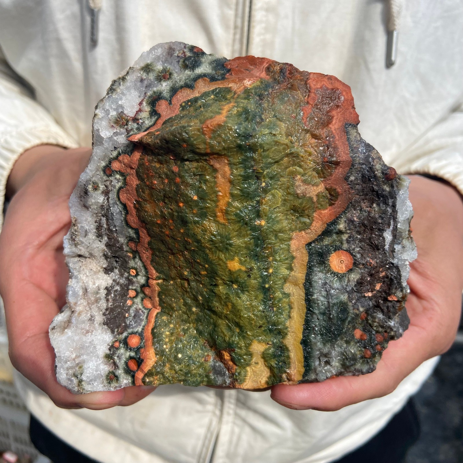 2.6lb Rare Natural colourful ocean jasper quartz crystal rough mineral specimen