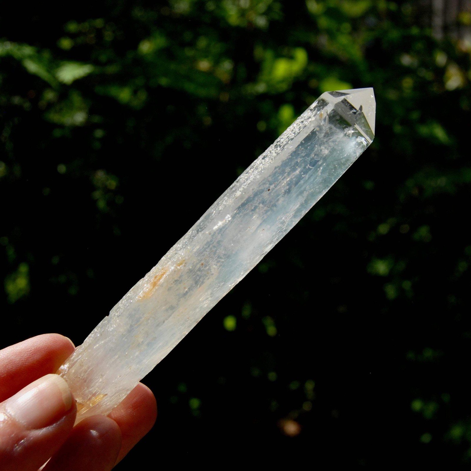 AAA Colombian Blue Smoke Lemurian Crystal Starbary, RARE 4.8″ 59g Optical Quartz