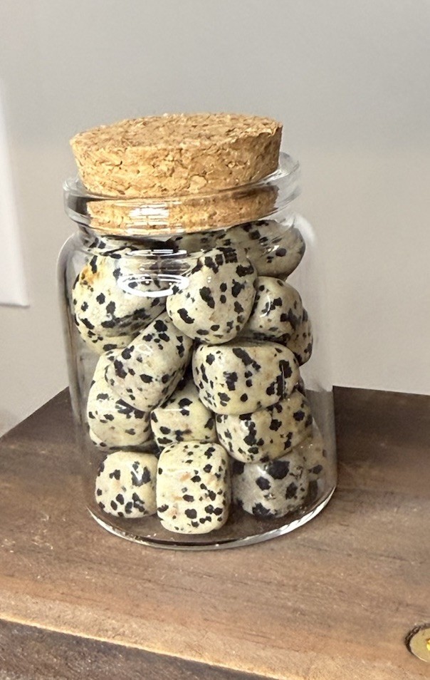 Dalmatian Jasper Polished Tumbles – Clear Glass Jar Included
