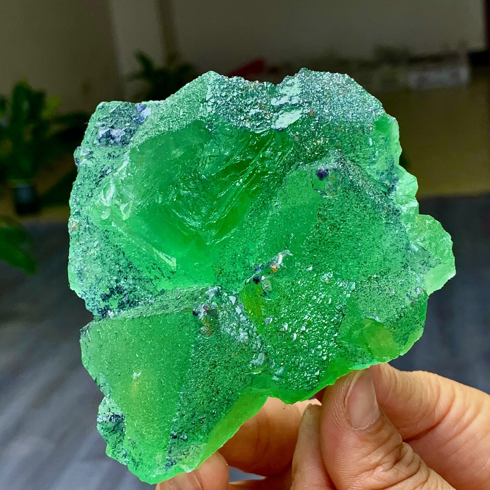 1.24LB Rare transparent green cubic Zhejiang fluorite mineral sample