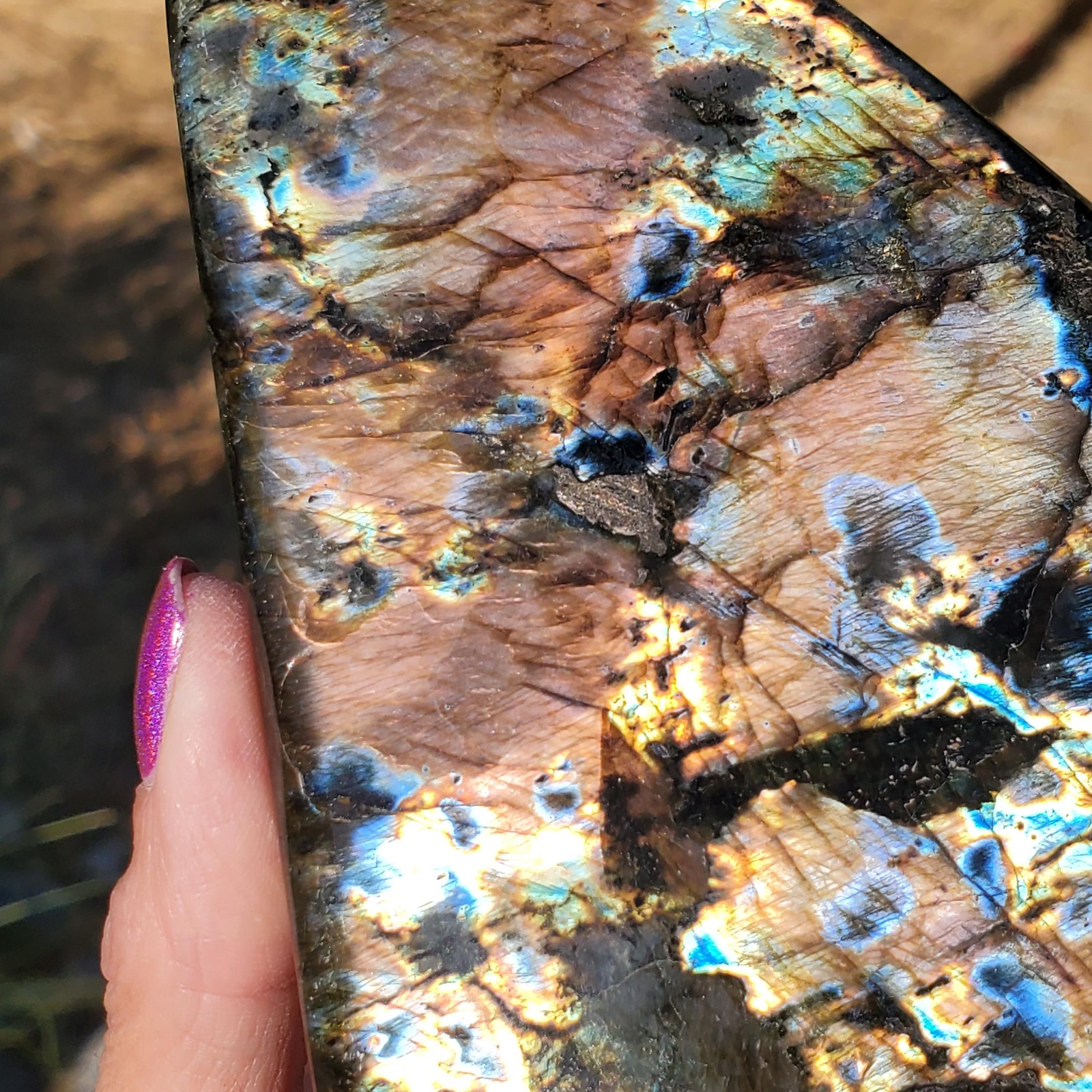 Labradorite Spectrolite “Stained Glass” Crystal Slab Freeform 700 grams