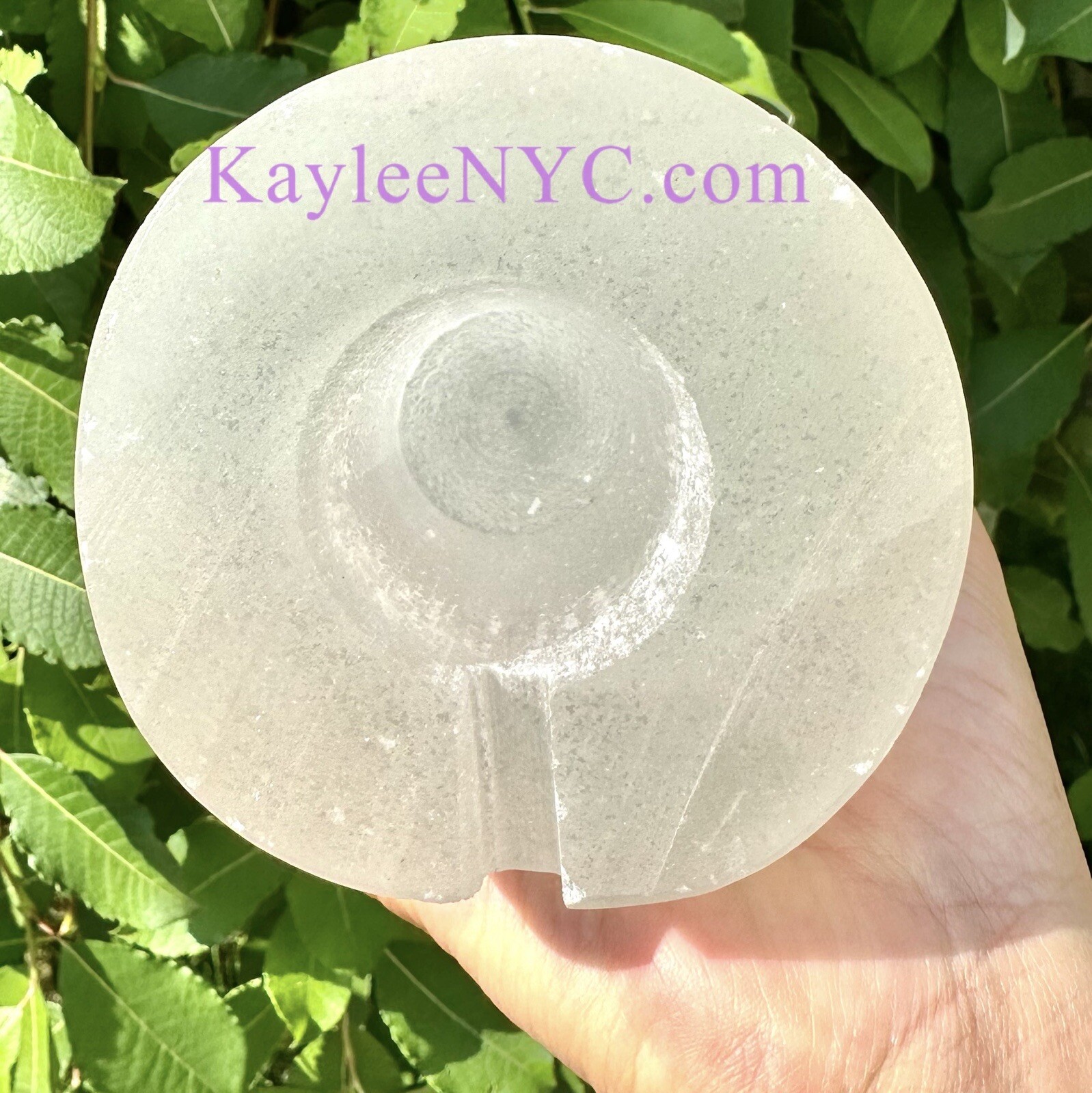 Wholesale Lot 2 Pcs 25cm Natural Selenite Satin Spar Tree Of Life Lamp Crystals