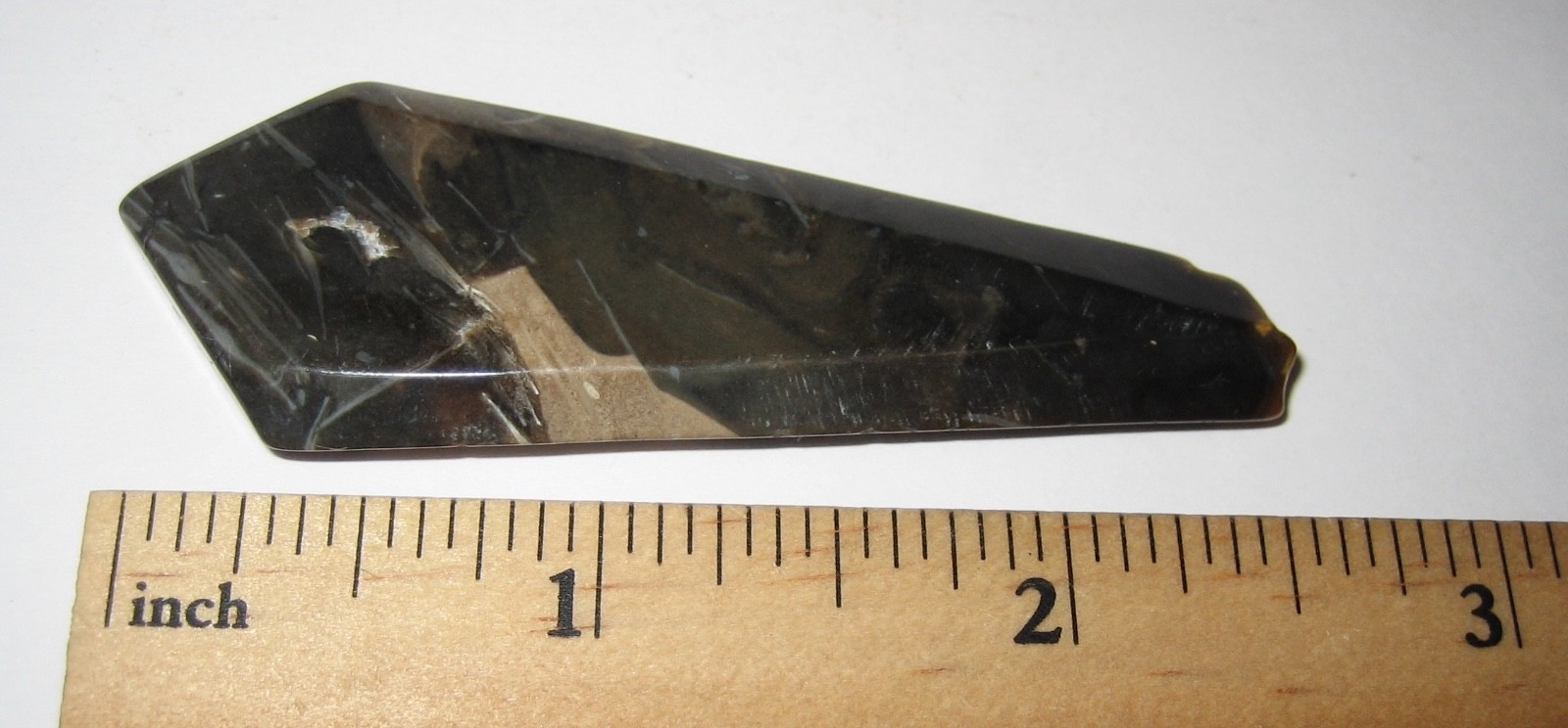 2.6″ x 1″ TUMBLED POLISHED CABOCHON STYLE CUT FOSSIL FORAMINIFERA STONE 14.1g *3