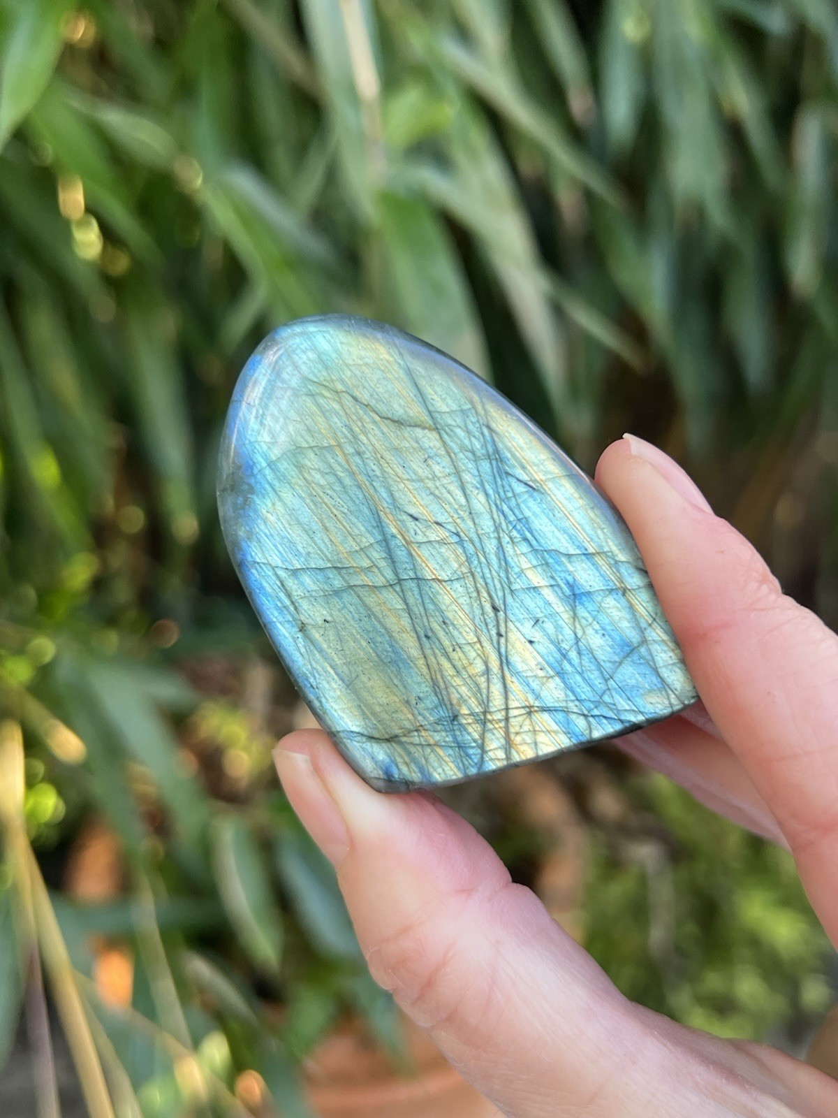 Deep Blue Labradorite Freeform Iridescent Crystal AAA+ 22