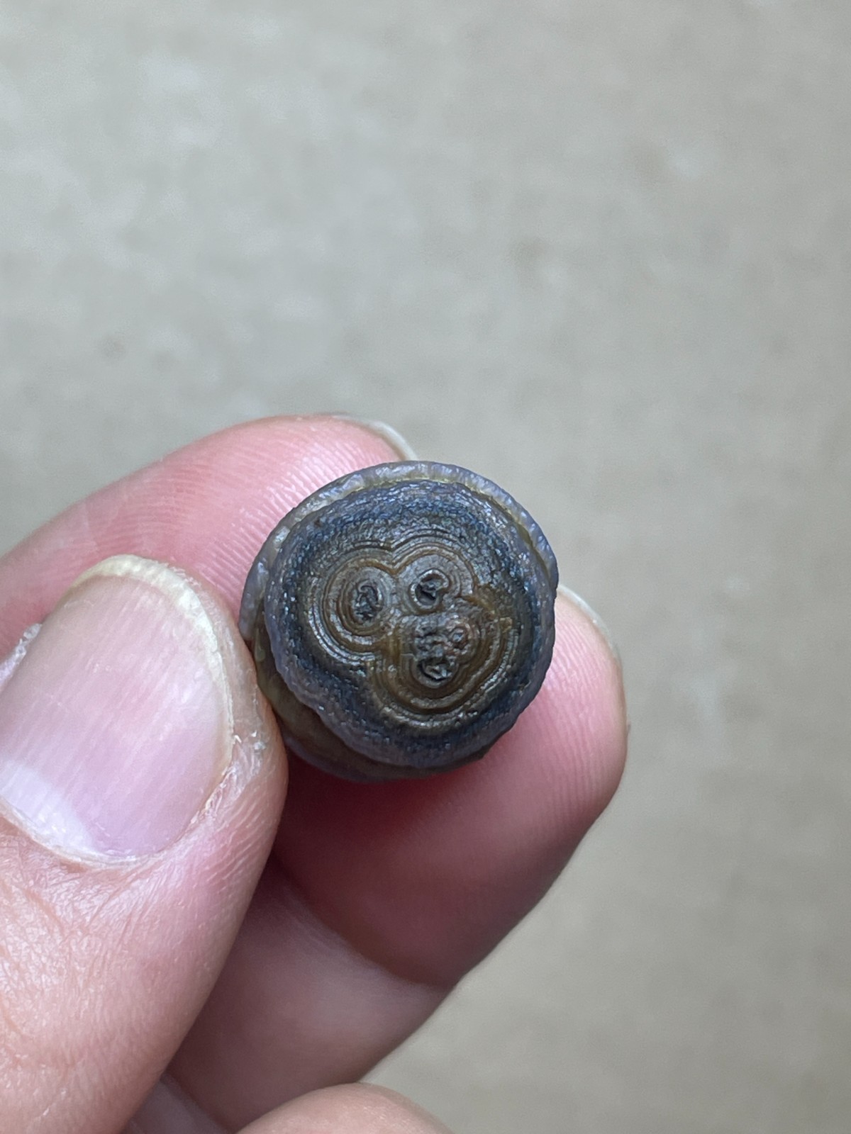 19mm Beautiful Natural agate Gobi agate eye agate cute collection