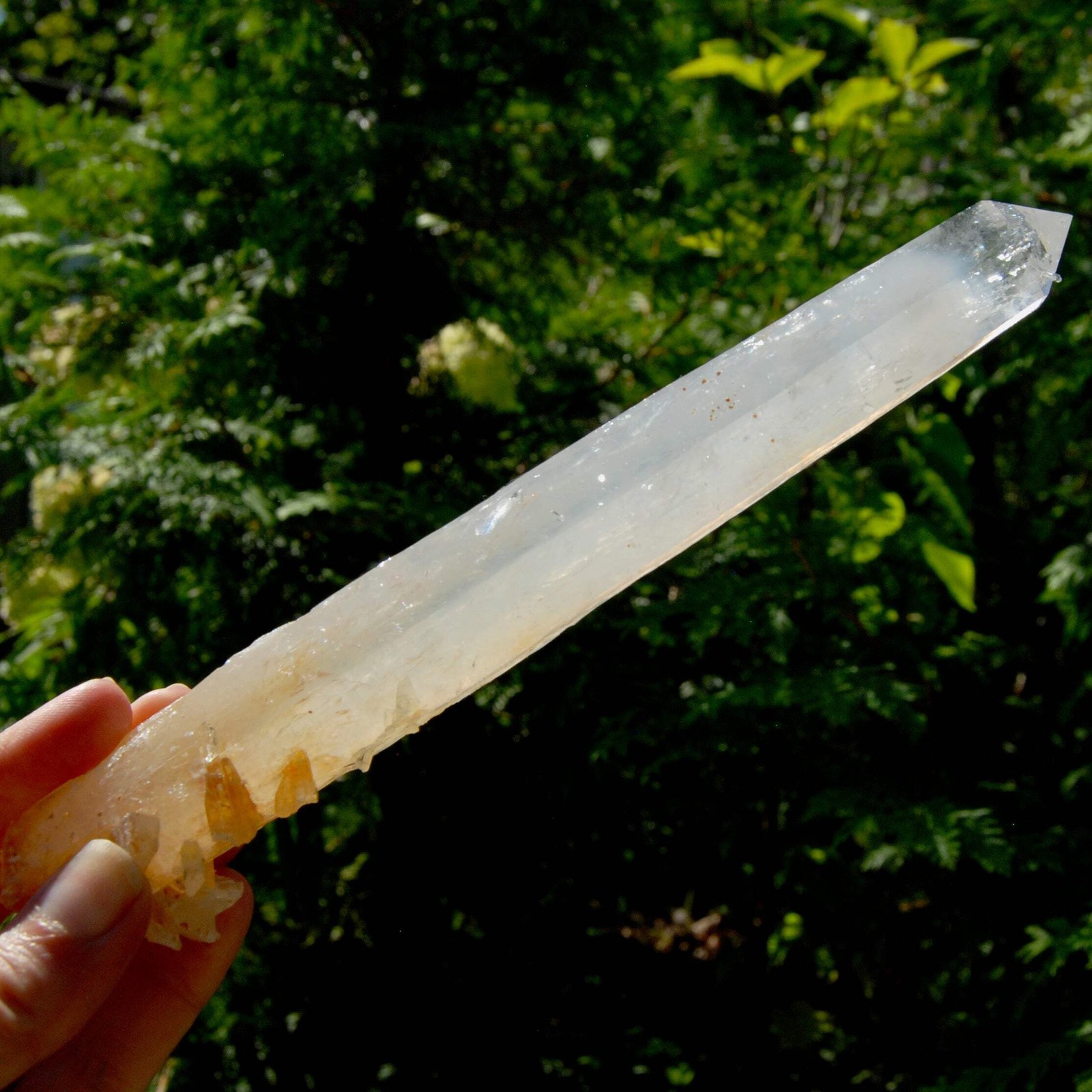 XL AAA Colombian Blue Smoke Lemurian Quartz Crystal Starbary, 8.5″ 244g Record K