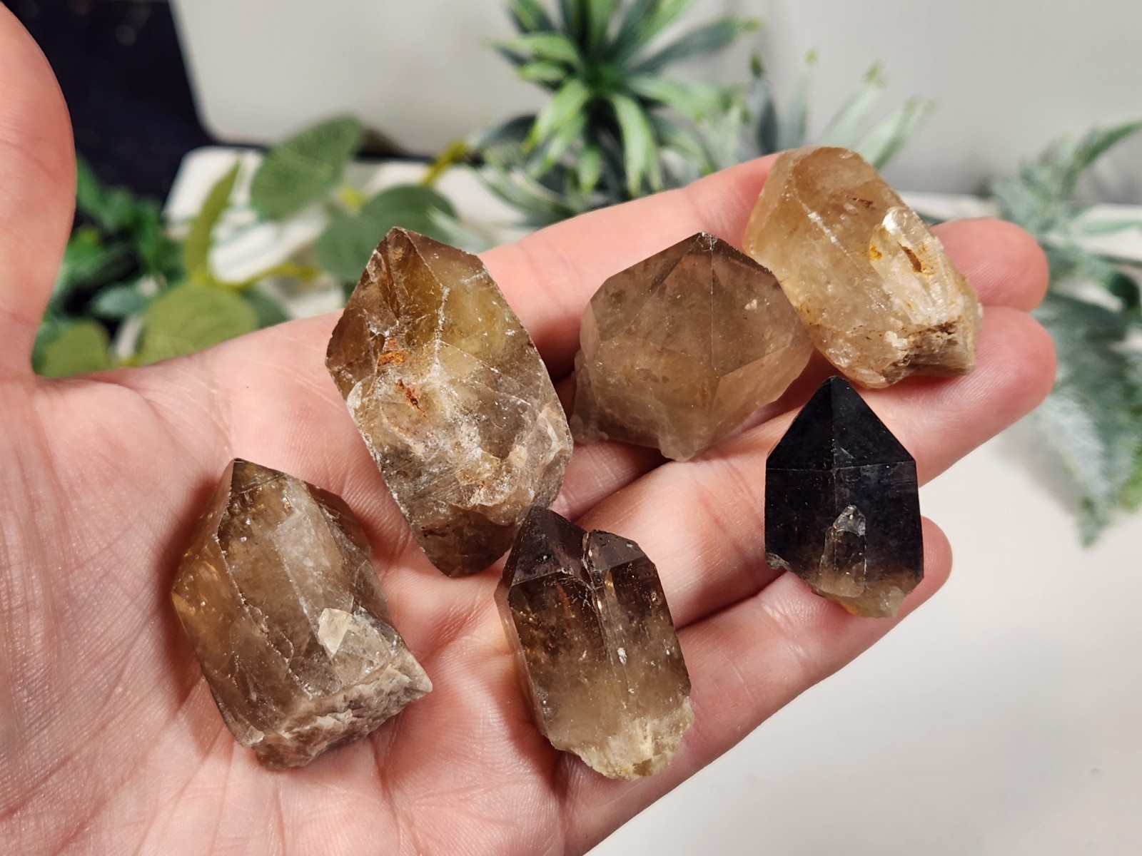 Lot Smoky Citrine / Citrine Llwena CONGO raw natural crystal point 100g A2