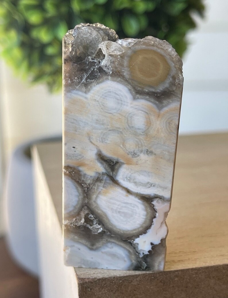Rare Madagascar 8th Vein Ocean Jasper Freeform -Natural Orbicular Jasper Crystal