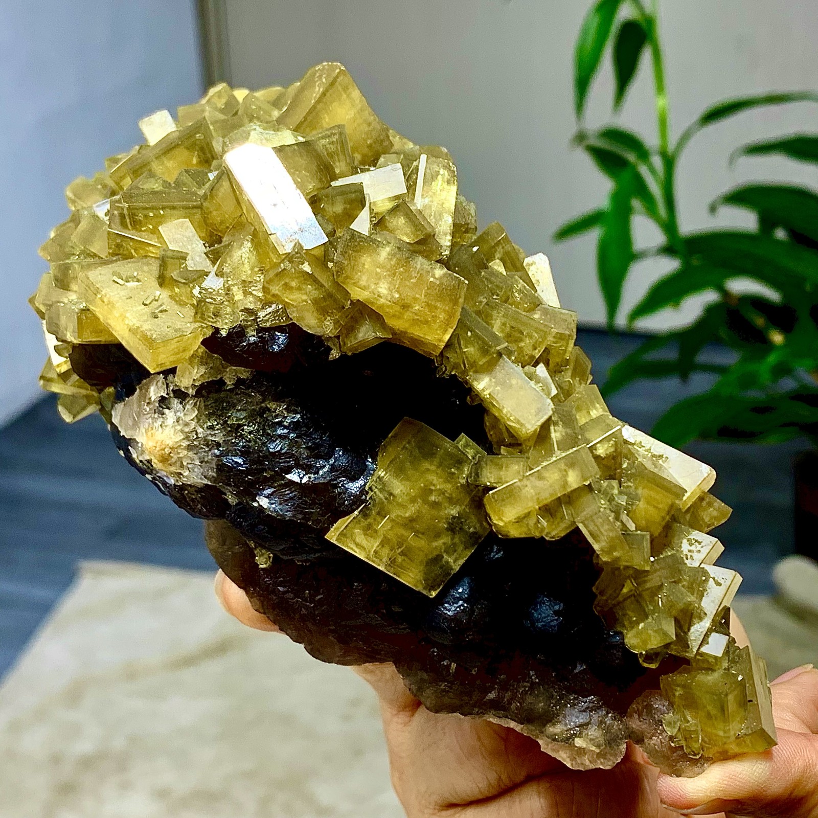 2.36LB Shiny Golden Cuboid Barite Crystal Based on the Purple Spherical Fluorite