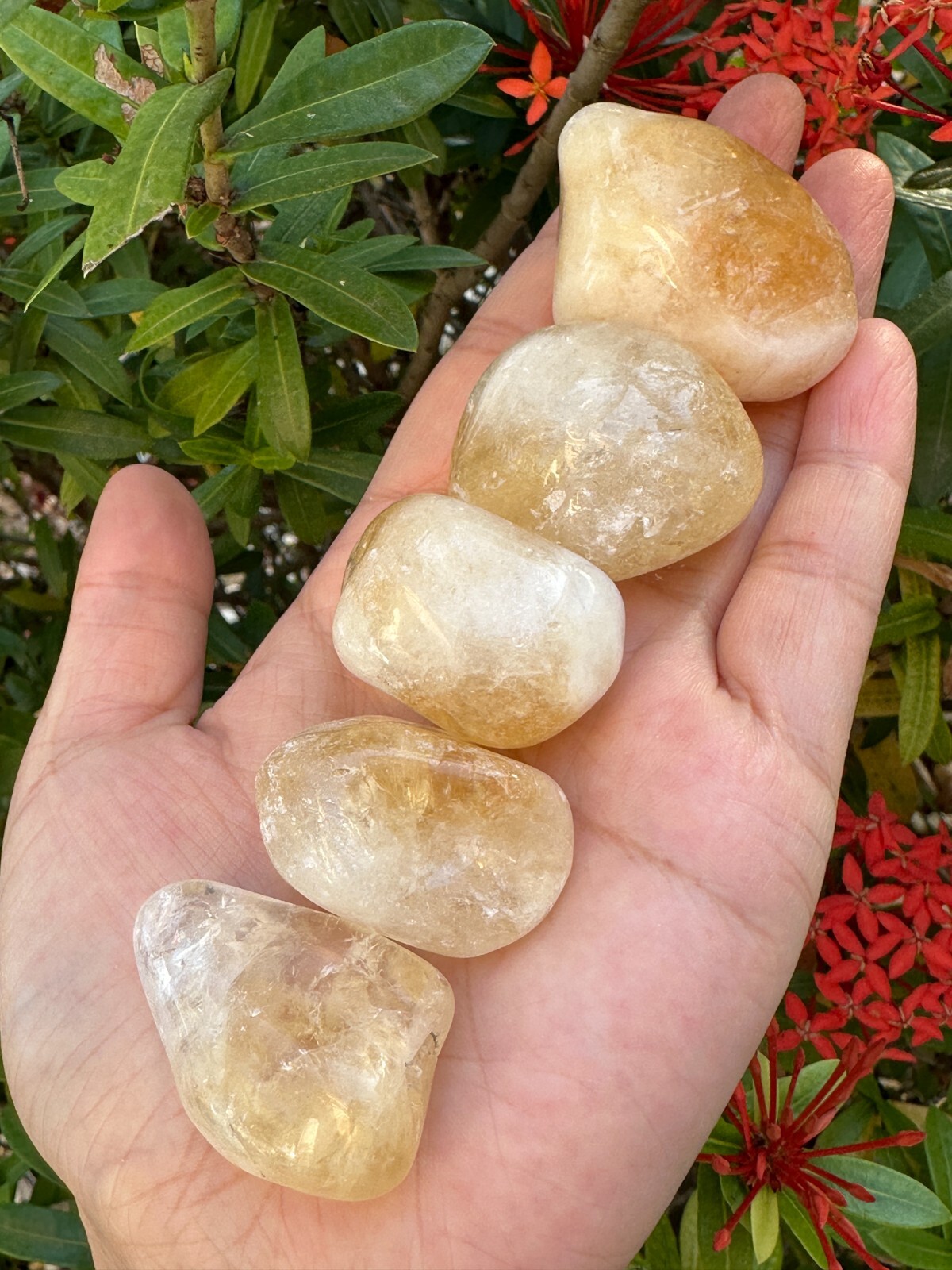 Grade A++ Citrine Pebble, 1.25-2 Inch Large Tumbled Citrine Stones,Wholesale Lot