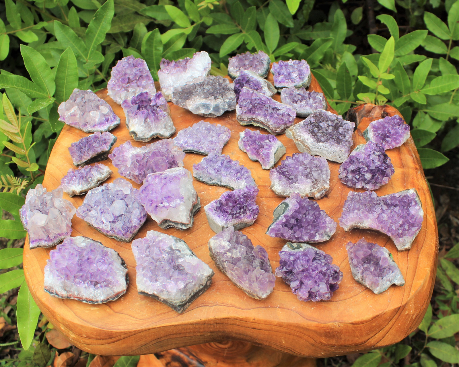 Wholesale Bulk Natural Amethyst Crystal Clusters: 10-16 Piece Lot (Quartz Geode)