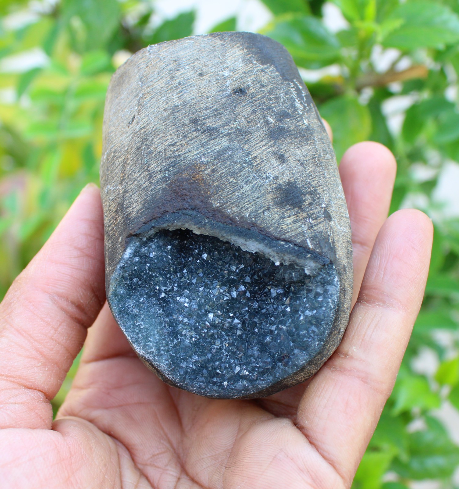 chalcedony coral geode minerals specimen #A43