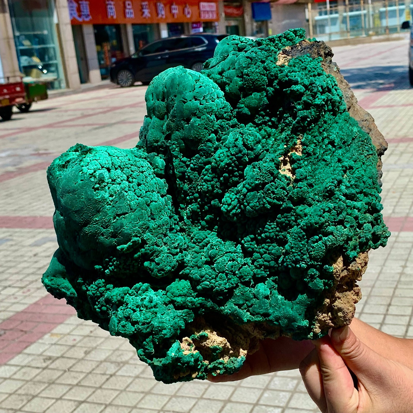 17.82LB Natural VELVET Malachite cat’s eye specimen crystal mineral-Congo