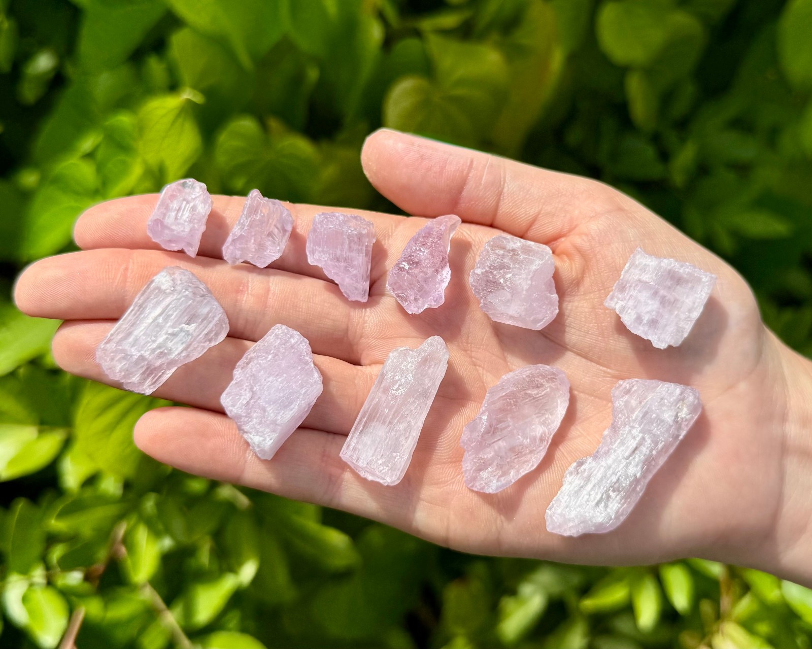 Natural Kunzite Crystals, Raw Pink Kunzite Gemstones Wholesale Bulk Lots