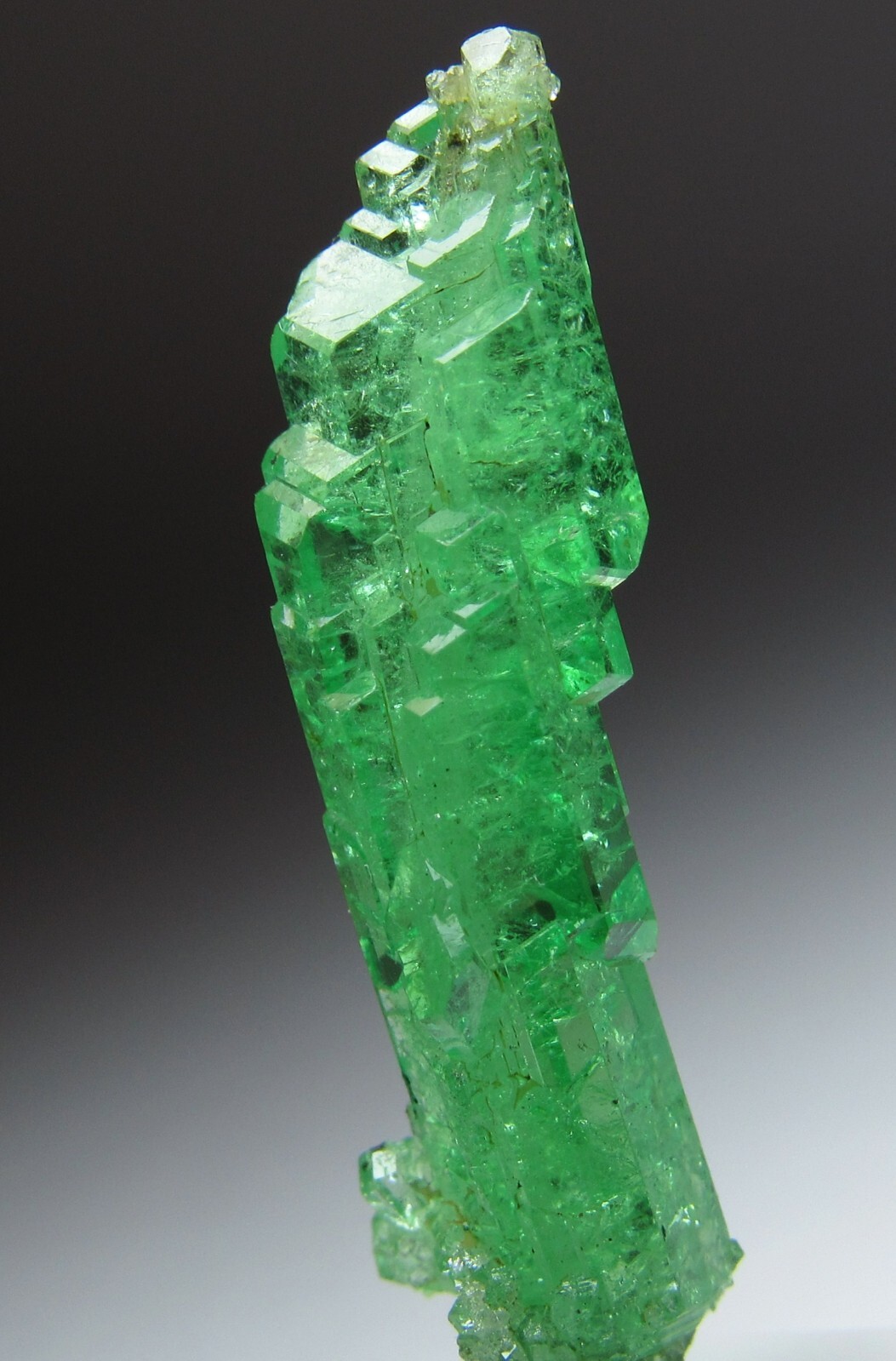 UNSURPASSED ELITE LIGHTNING BOLT TSAVORITE GROSSULAR GARNET CRYSTAL!!! TANZANIA