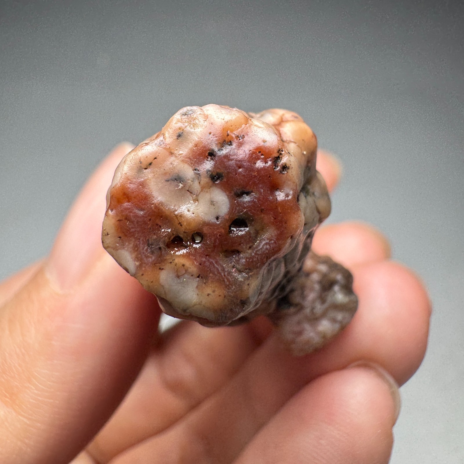 5.6cm/25G Raw & Natural Alxa Gobi Raised Fish Roe Vein Agate,Inner Mongolia#6556