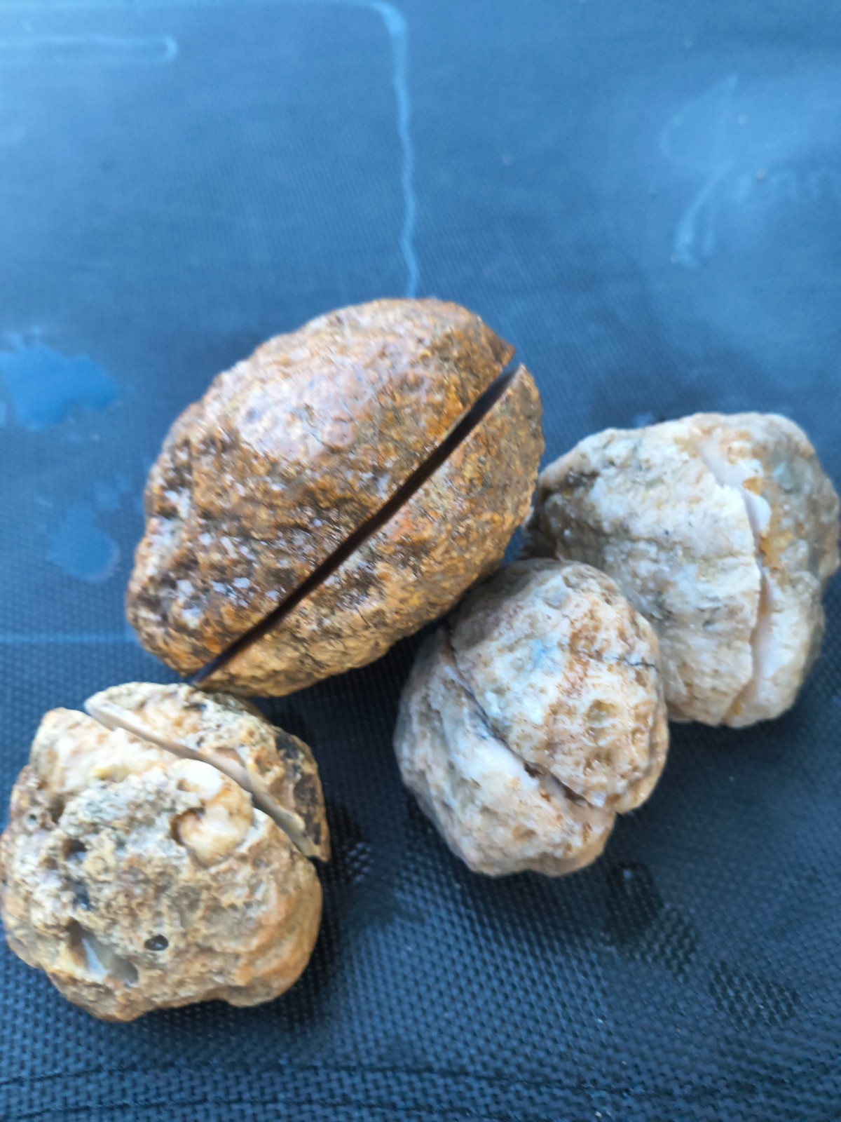3 LB Kentucky KY Geodes Pre-Scored Crack Your Own Set 4 Piece Lot Hand Collected
