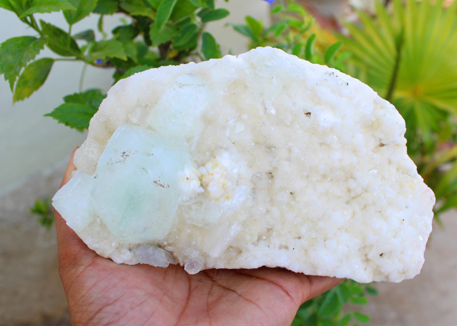 GREEN APOPHYLLITE CRYSTALS ON HEULANDITE MATRIX MINERALS SPECIMEN #A43