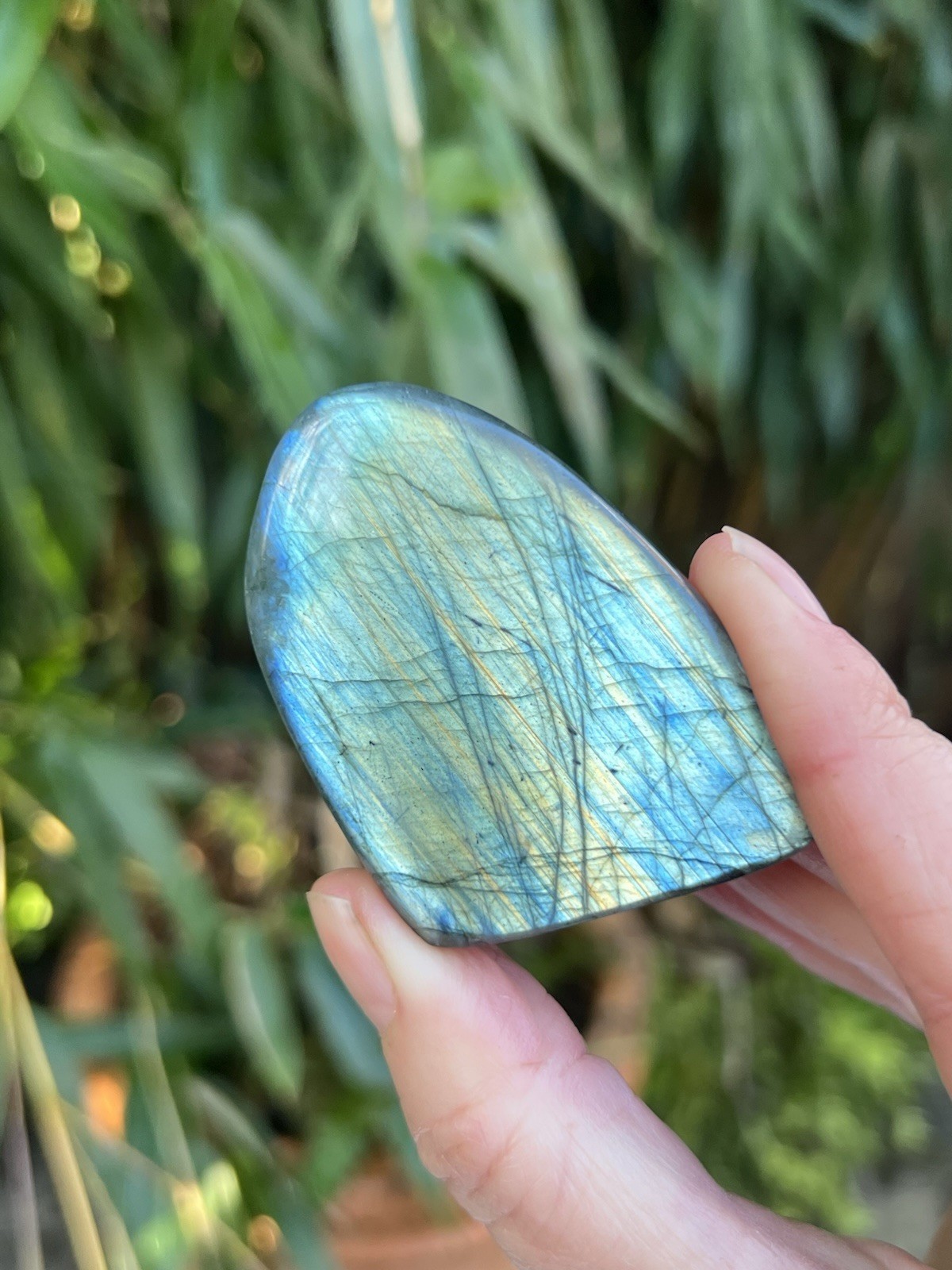 Deep Blue Labradorite Freeform Iridescent Crystal AAA+ 22