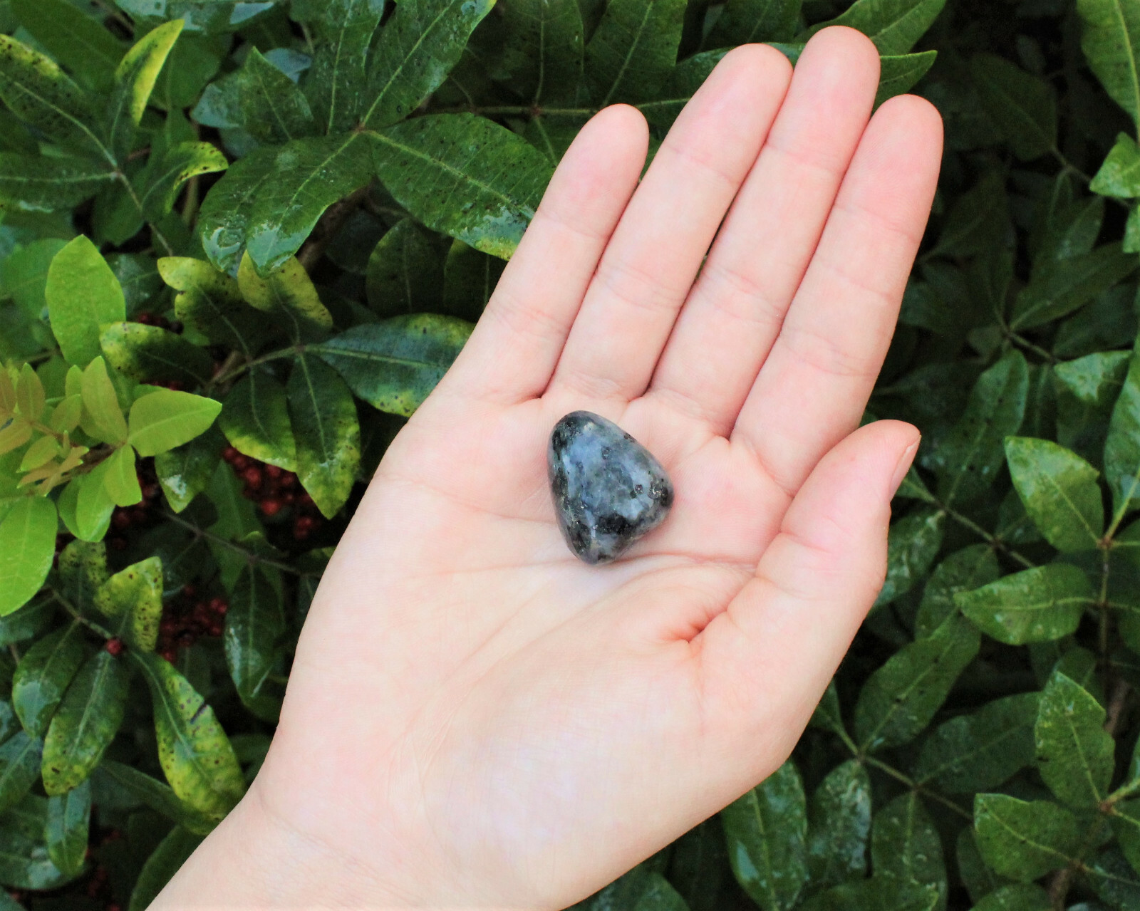 4 oz Larvikite Tumbled Stones: ‘A’ Grade Natural Polished Crystals 1/4 lb Bulk