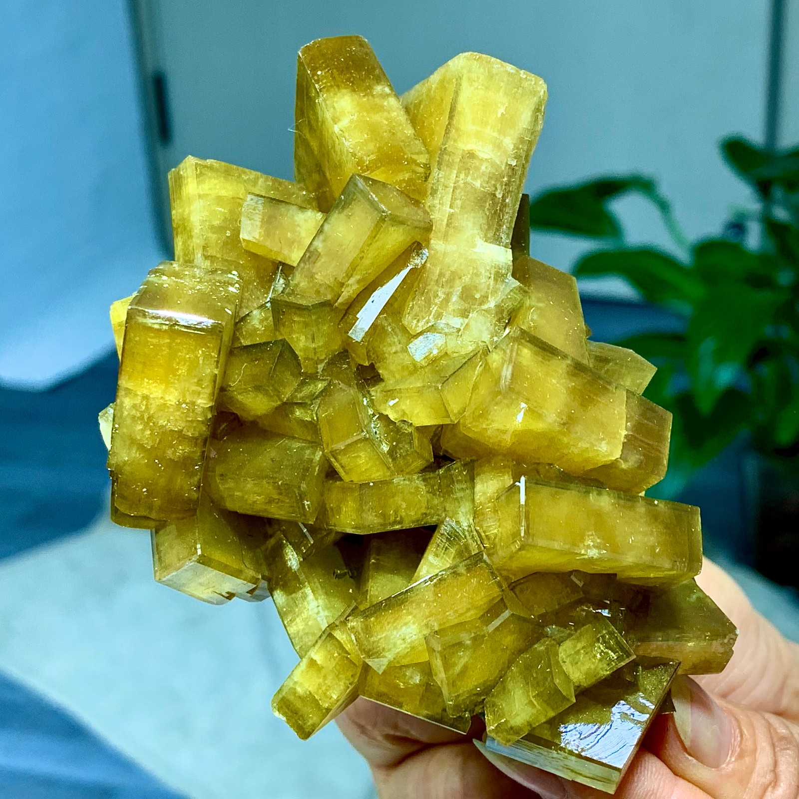 496g Shiny Golden Cuboid Barite Crystal Based on the Purple Spherical Fluorite