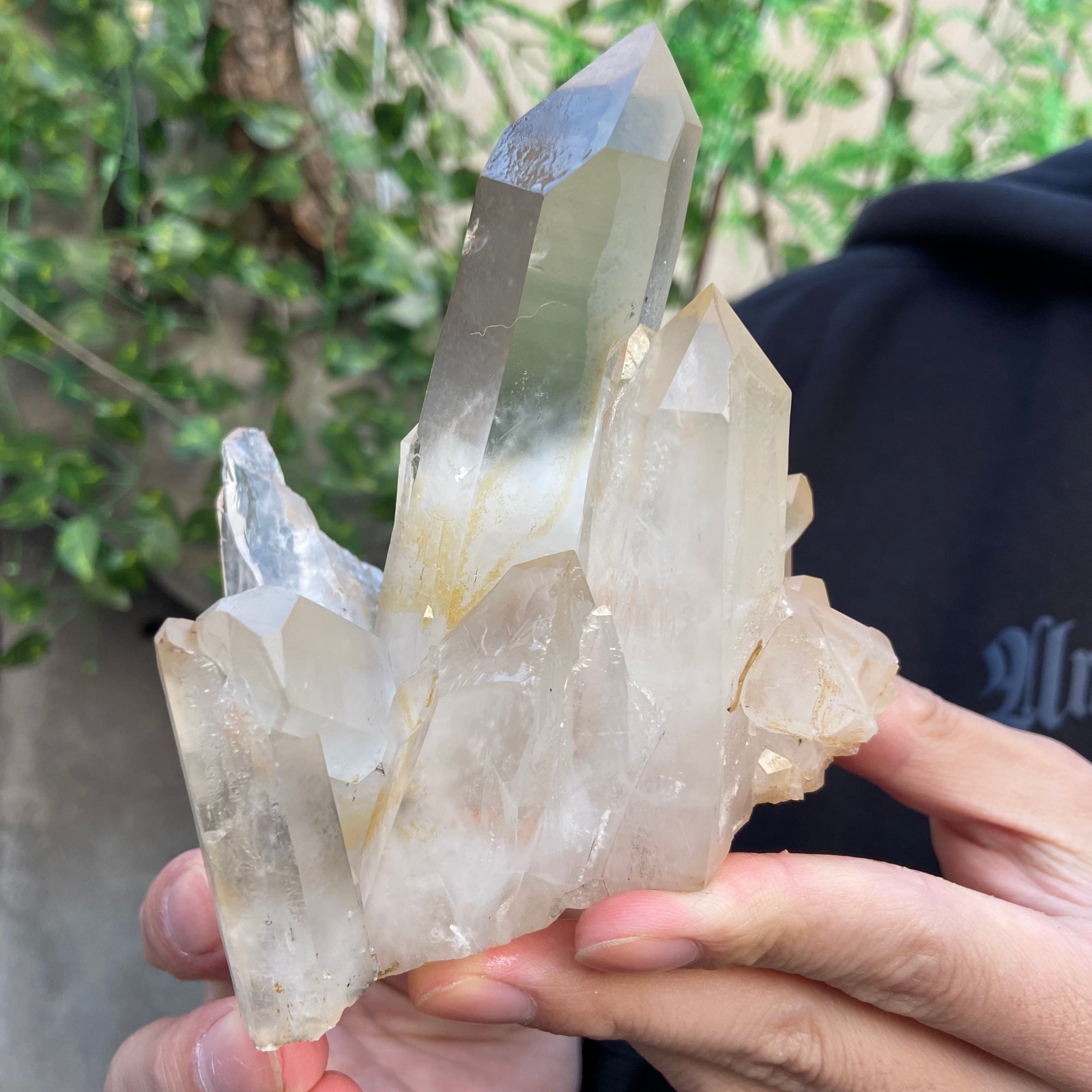 1.5lb Natural Clear White Quartz Crystal Cluster Rough Healing Specimen