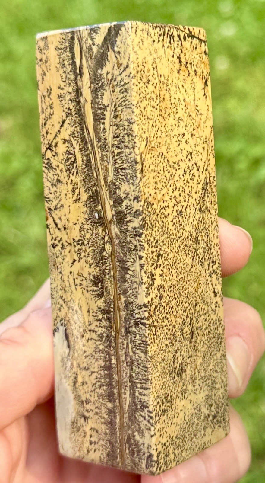 Picture Jasper Column 227g