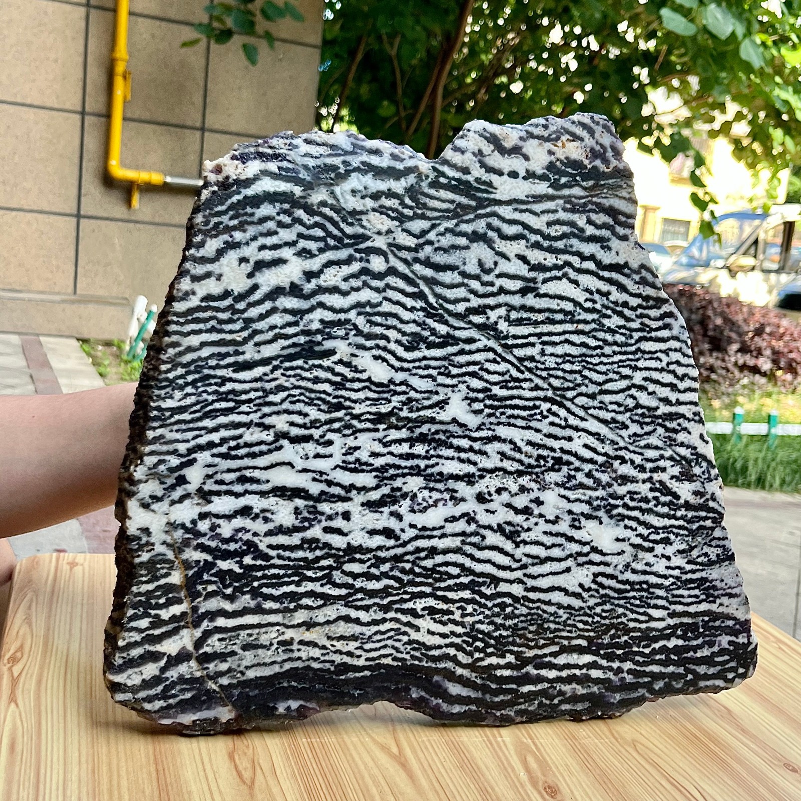 10.5 lb Polished Zebra Stone Freeform Slab Black White Stripe Crystal Specimen