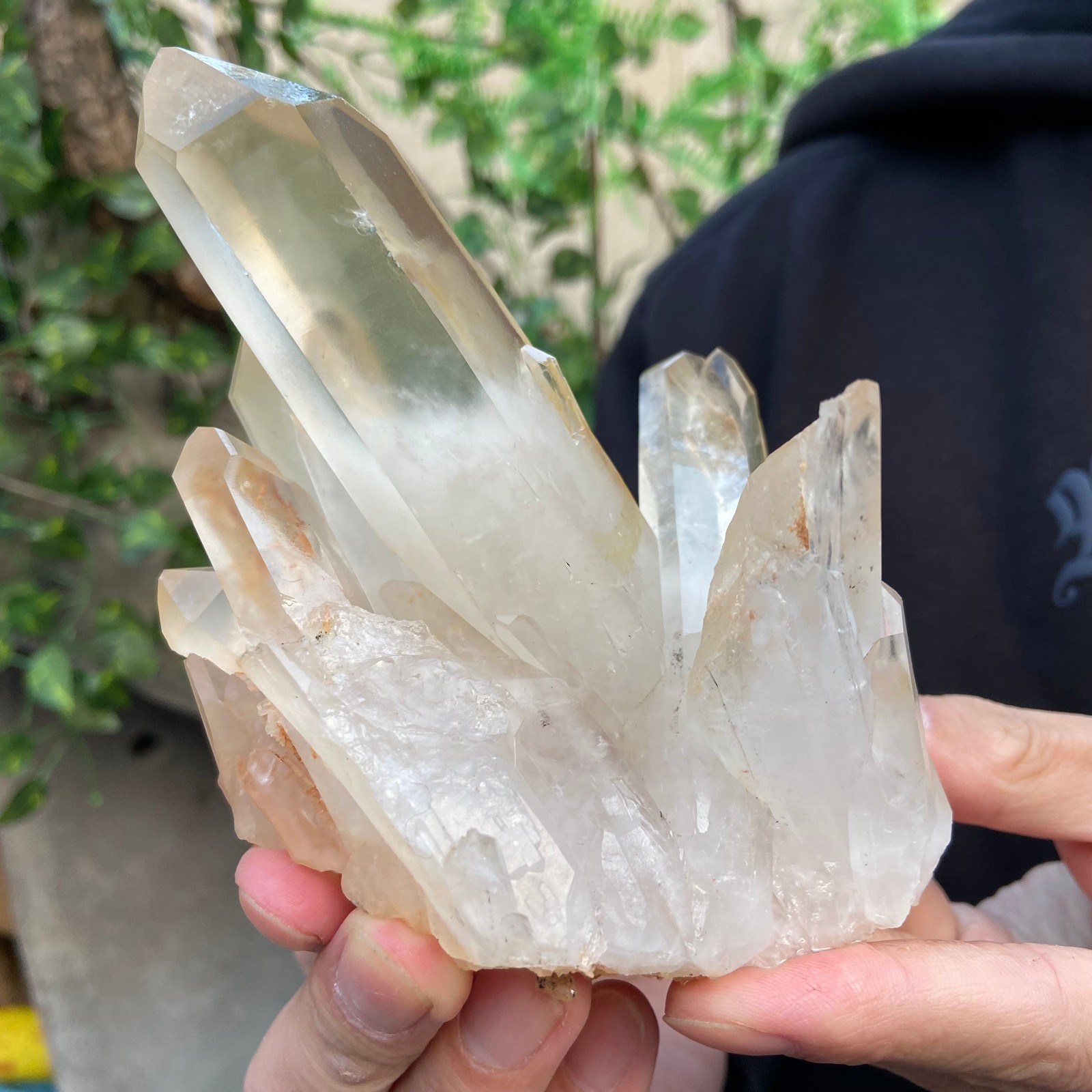 1.5lb Natural Clear White Quartz Crystal Cluster Rough Healing Specimen