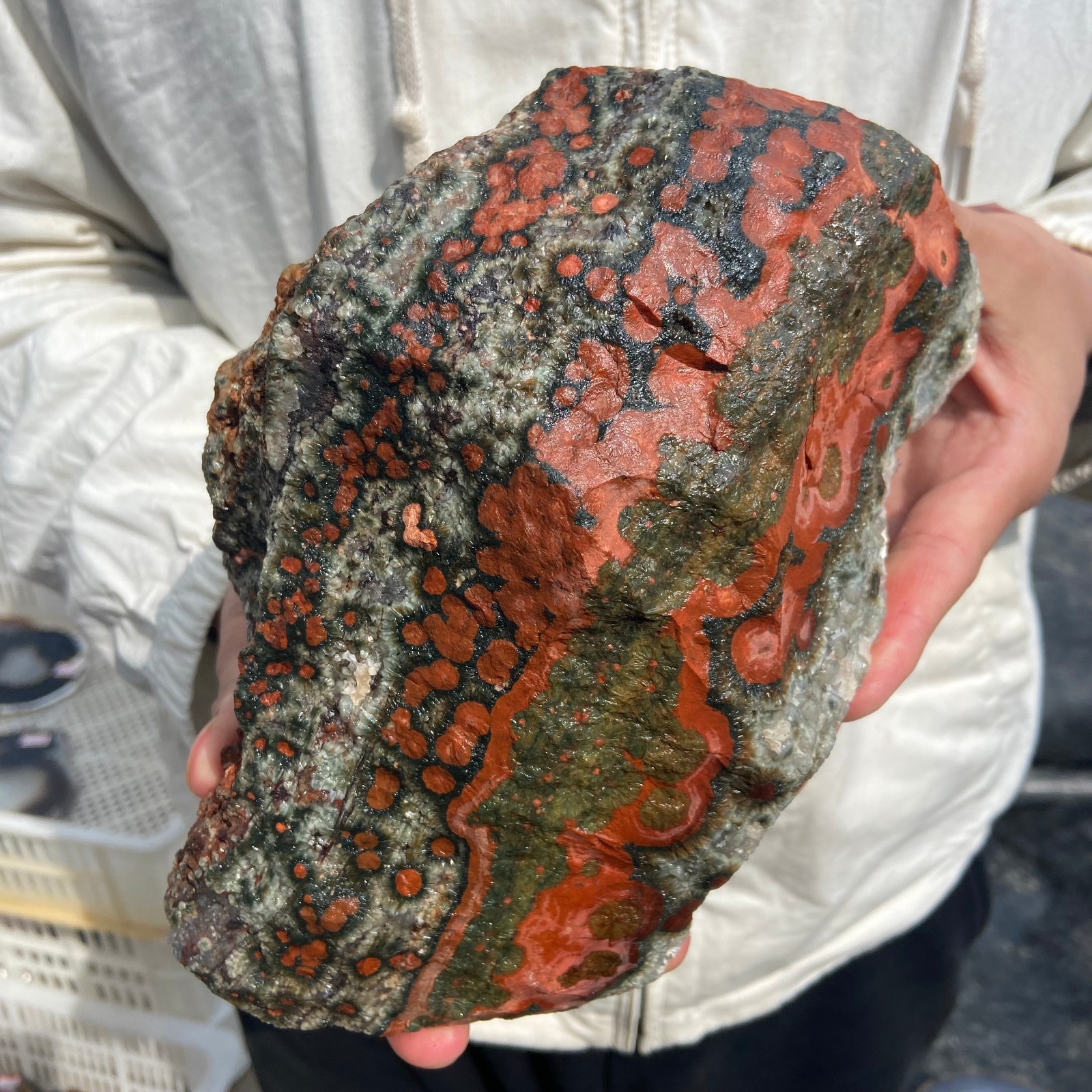 8lb Rare Natural colourful ocean jasper quartz crystal rough mineral specimen