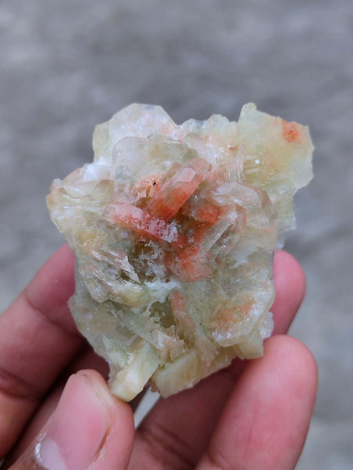 Green and Red Apophyllite with Scolecite Natural mineral Specimen