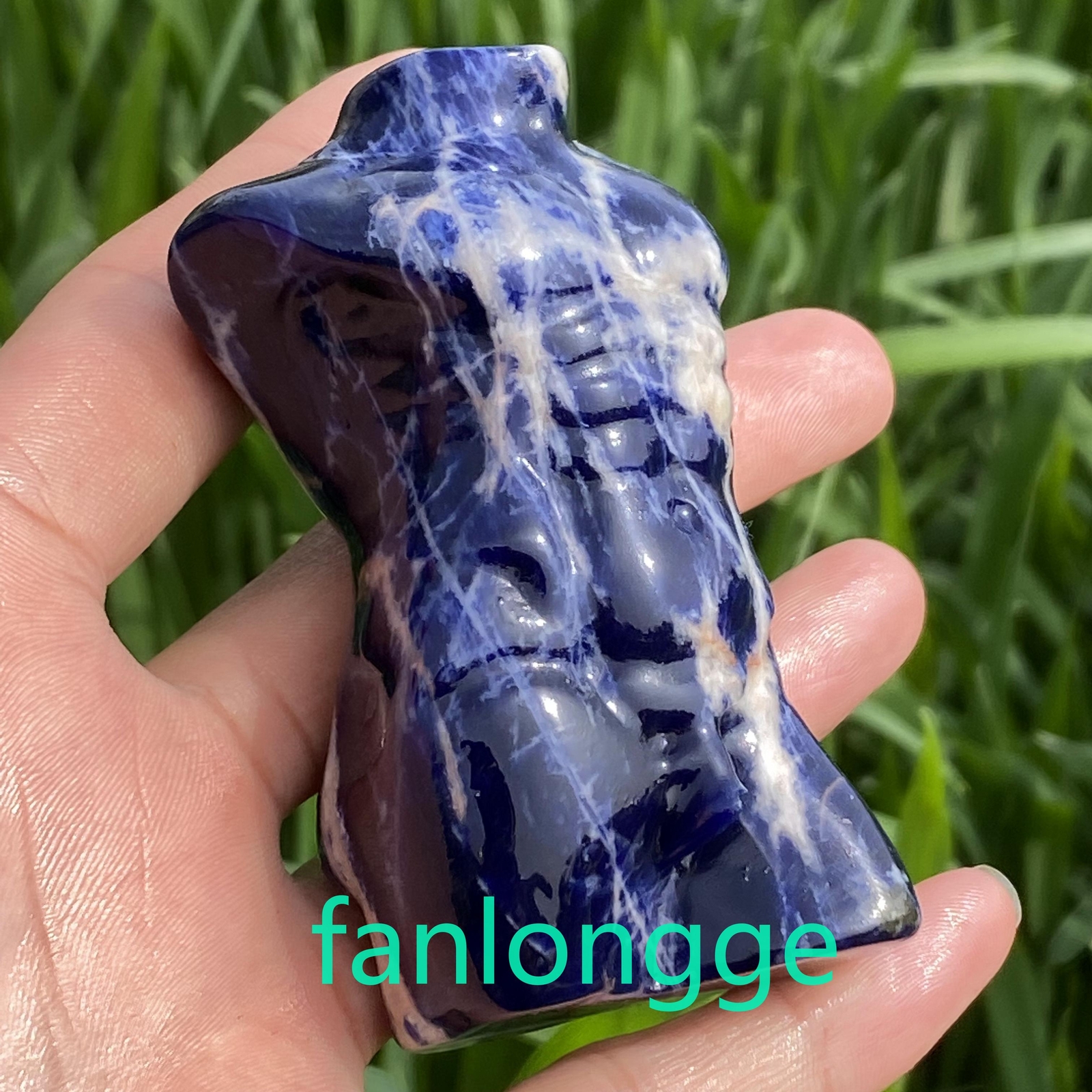 3.2in Natural Sodalite male Quartz Crystal skull Body Sculpture Reiki 1PC