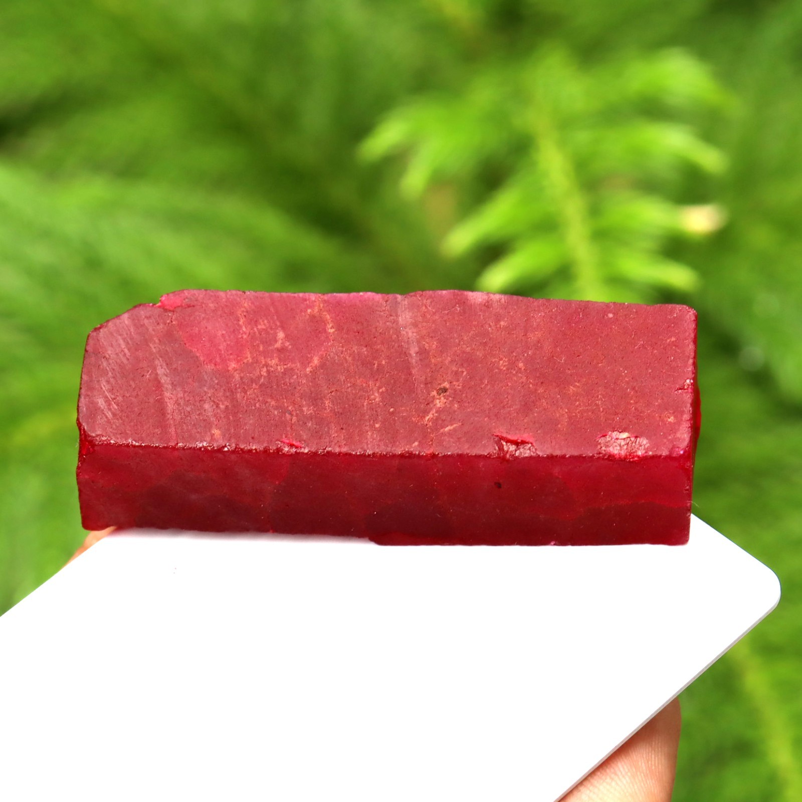 BURMA Red Ruby Rough Certified Loose Gemstone Uncut 223 CT