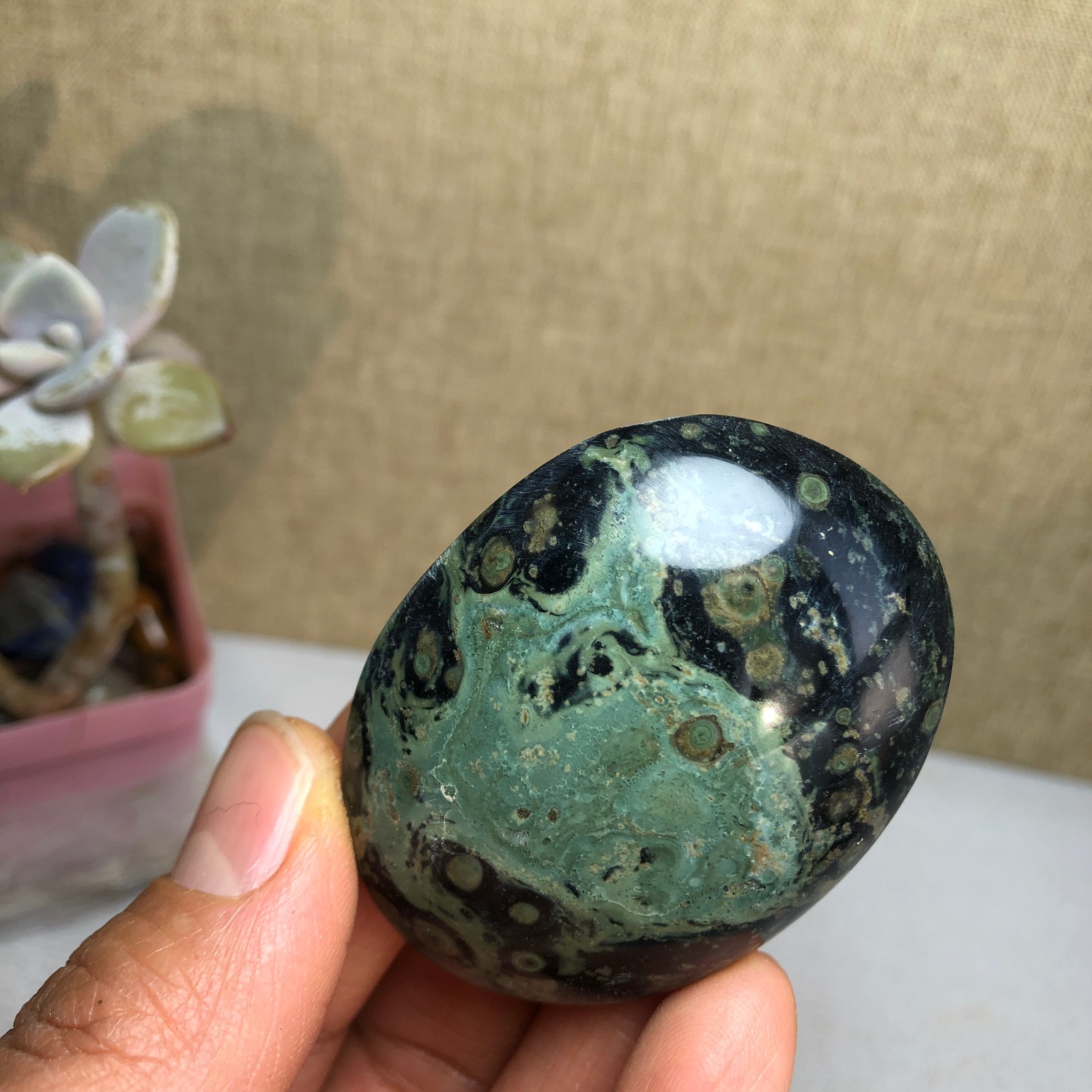 Top Natural Green Kambaba jasper quartz crystal Specimen healing 50g A2601