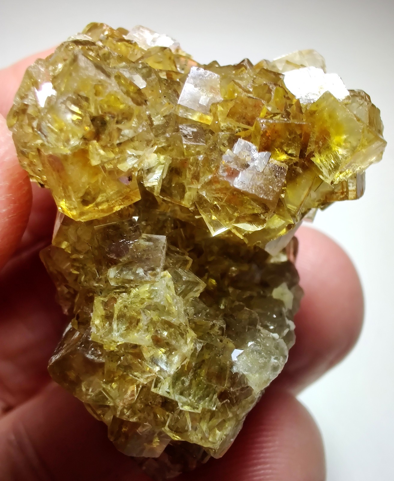 Transparent yellow Fluorite crystals, UV. Moscona Mine, Spain. 44 grams.