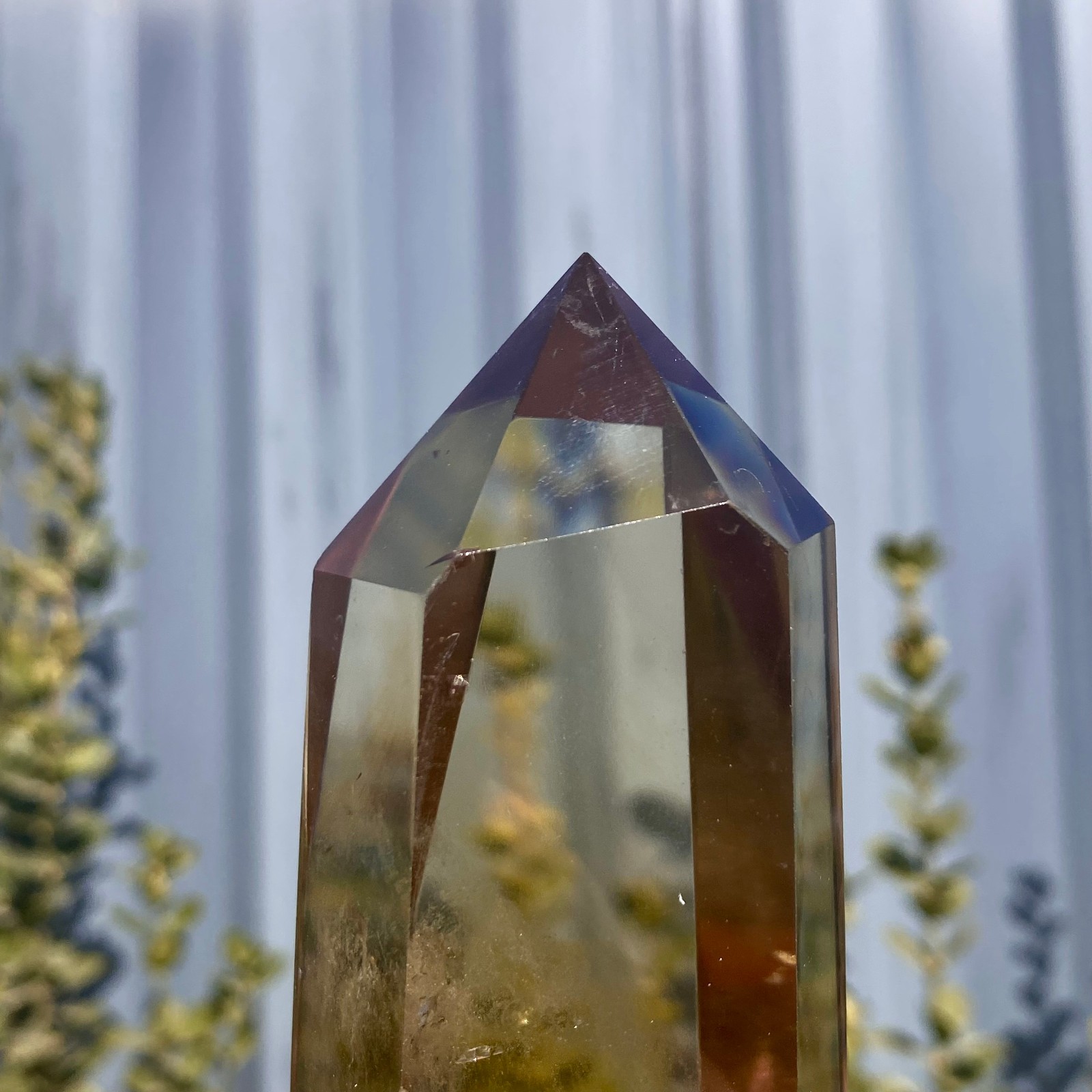 539G Natural Citrine backbone cluster mineral specimen quartz crystal healing