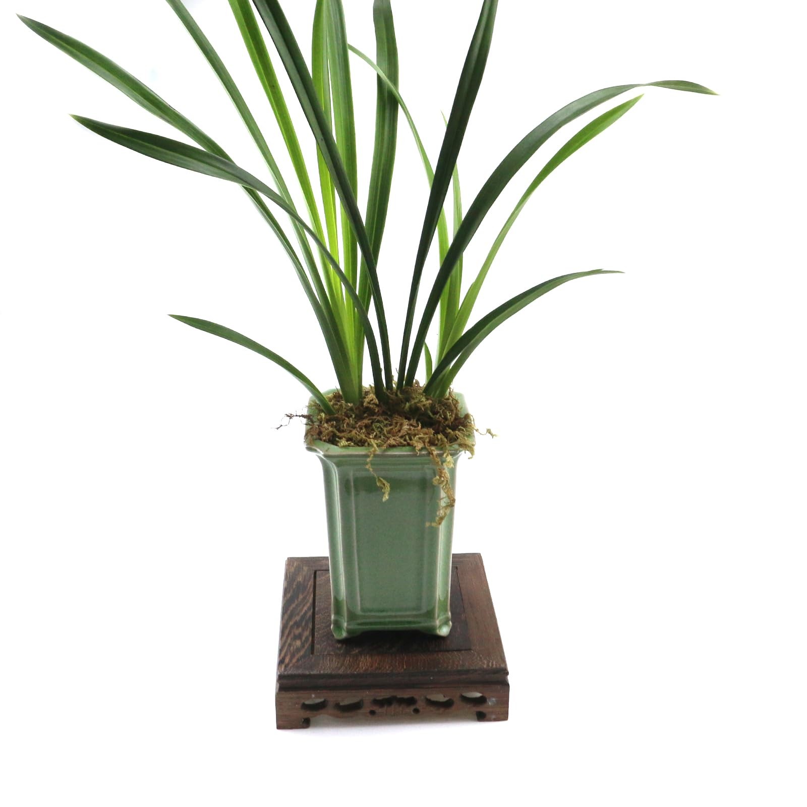 Wooden Display Stand Base 5.43″ x 5.43″ Square Wood Carved Pedestal Oriental …