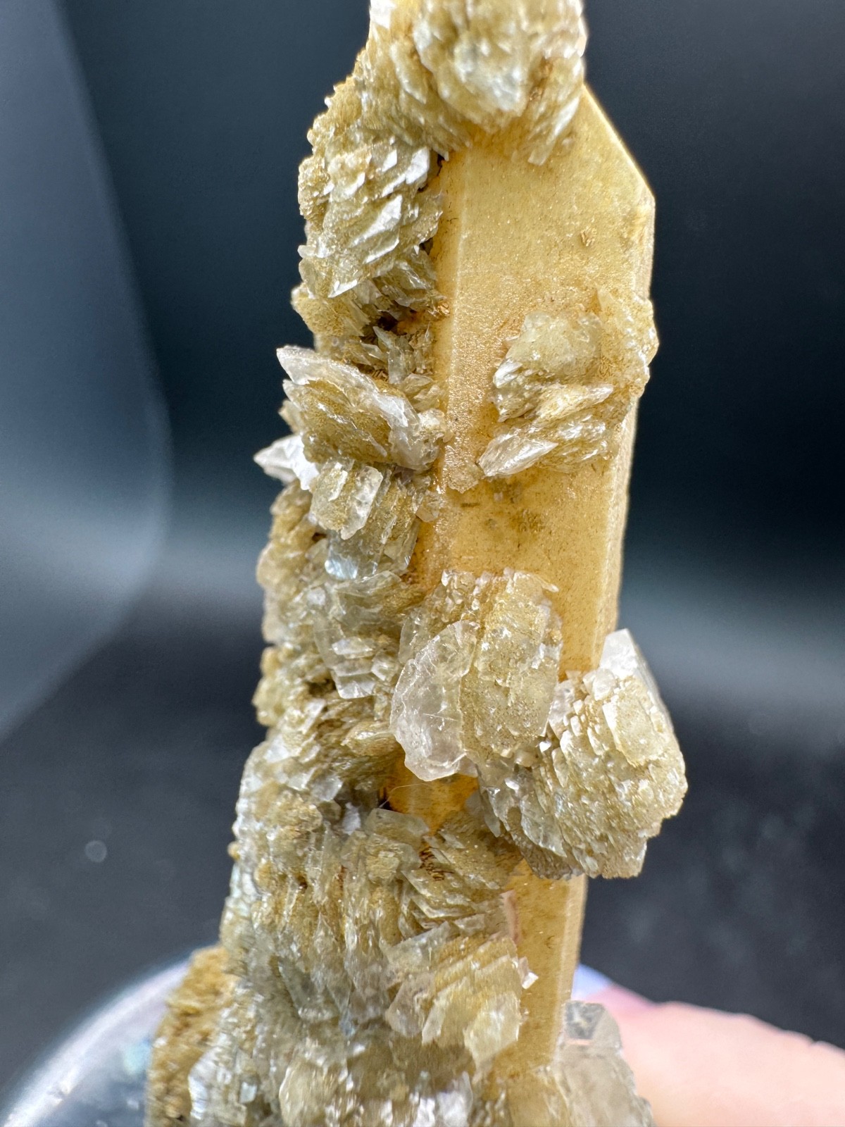 6631 Yellow Candle Quartz Point with Petal Calcite Inner Mongolia 28g